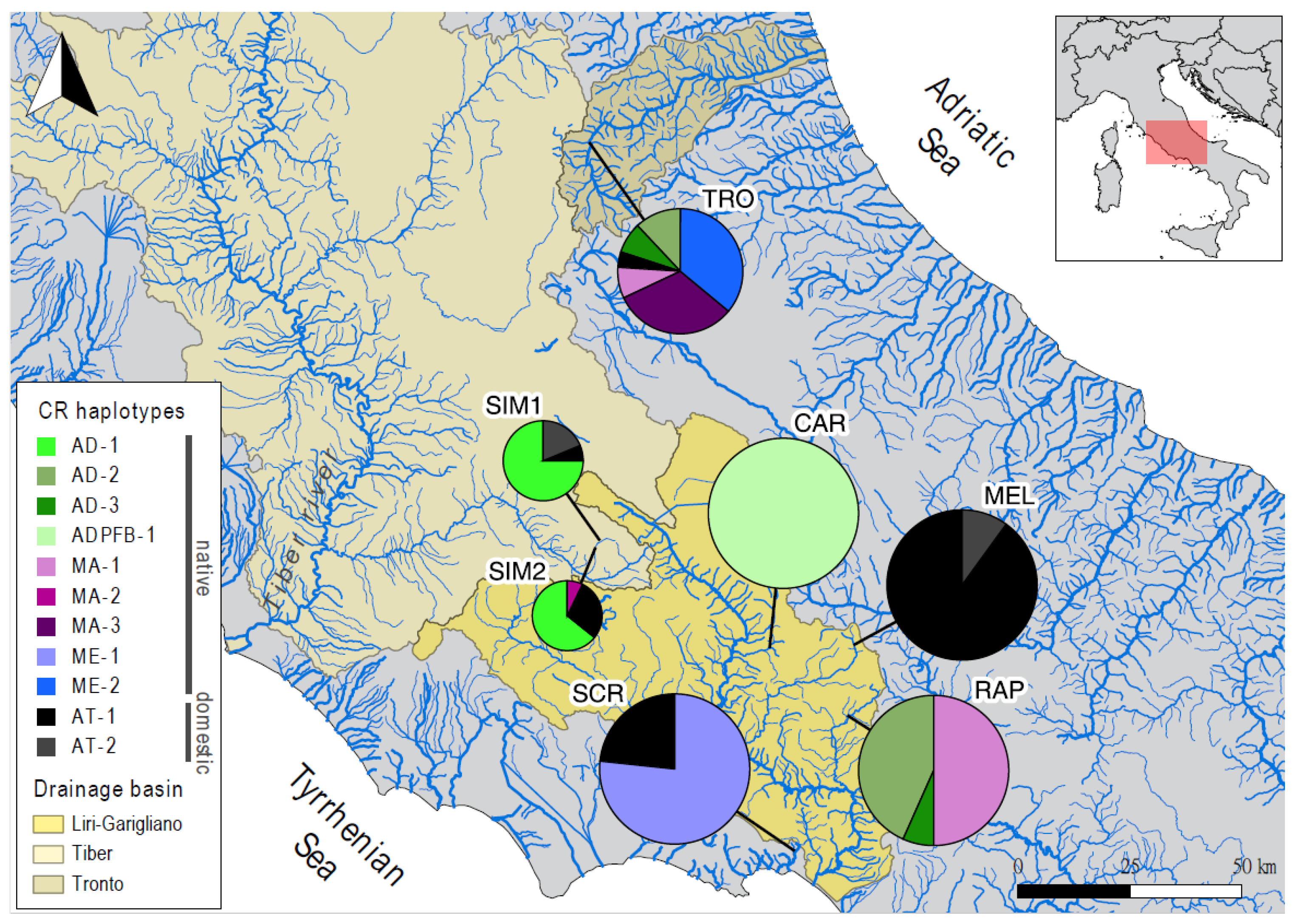 Water | Free Full-Text | Conservation Genetics of Mediterranean Brown Trout  in Central Italy (Latium): A Multi-Marker Approach