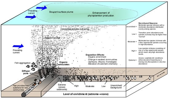 Proper Grease Disposal - Narragansett Bay Commission