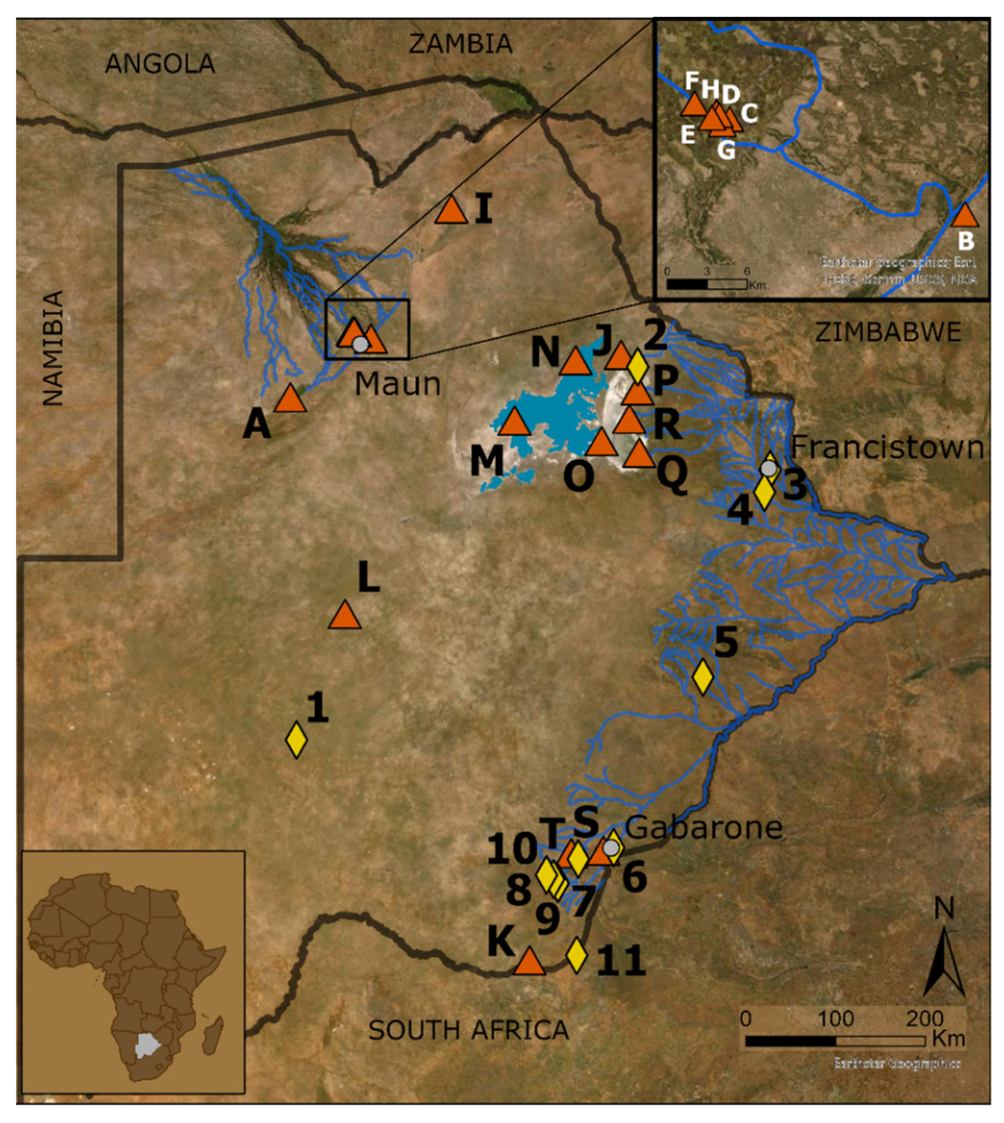 Water | Free Full-Text | Biodiversity of Non-Marine Ostracoda (Crustacea)  of Botswana: An Annotated Checklist with Notes on Distribution | HTML