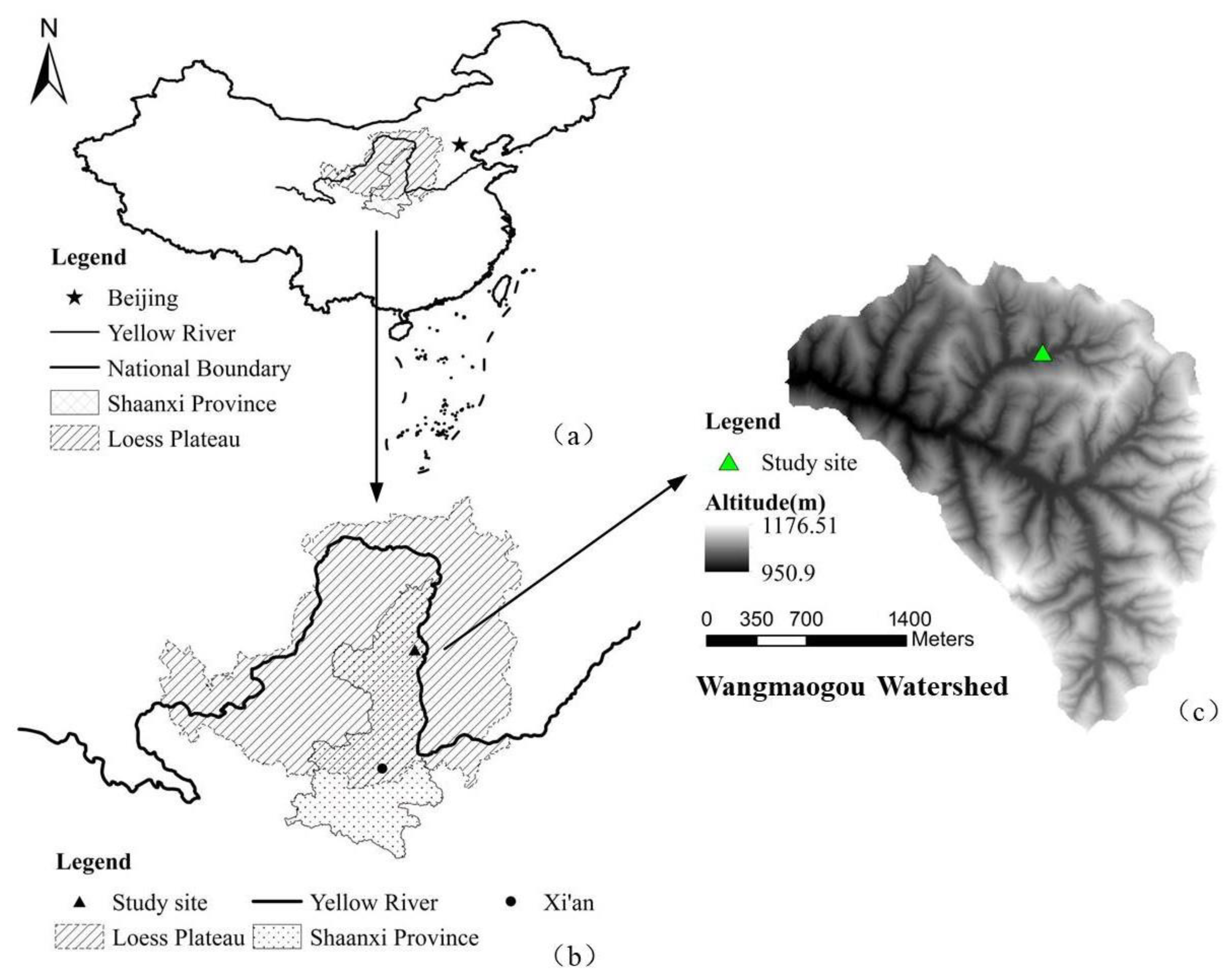 Water | Free Full-Text | Study on Soil Water Infiltration Process