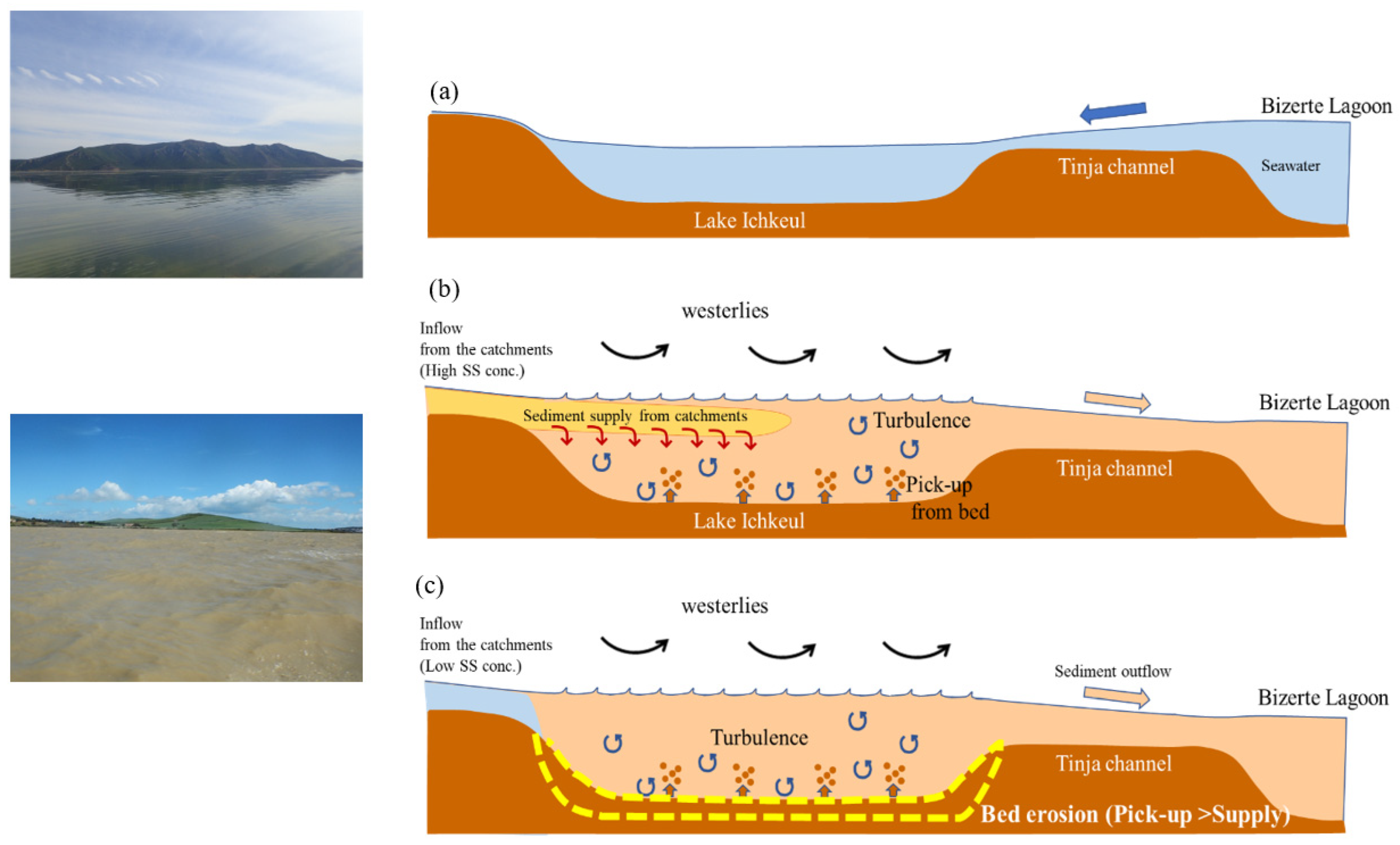 Water | Free Full-Text | Modeling of Sediment Transportation in Ichkeul  Lake for the Estimation of the Influence of the Constructions of the  Reservoirs in the Upper Streams | HTML