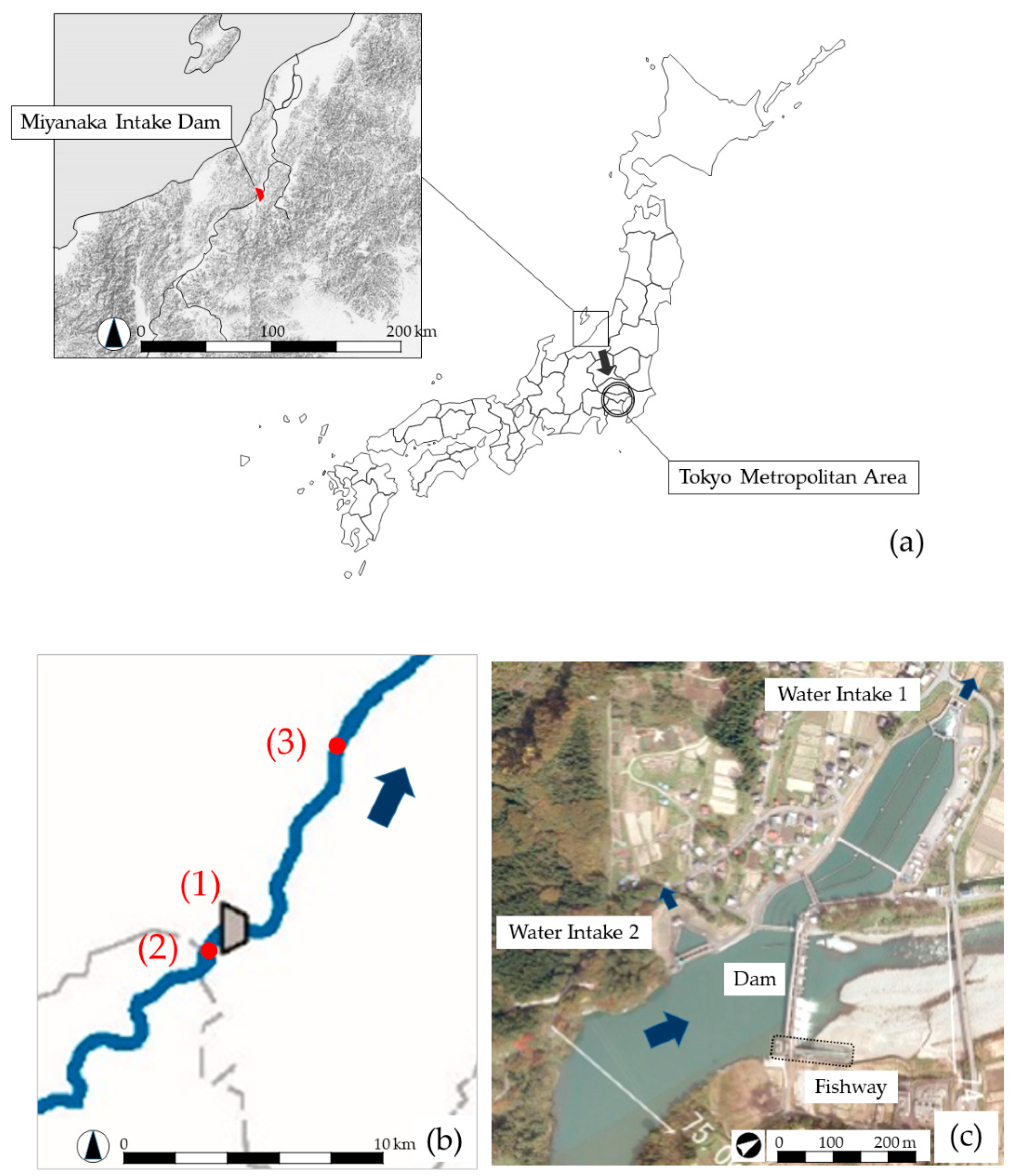 Water | Free Full-Text | Effectiveness of New Rock-Ramp Fishway at Miyanaka  Intake Dam Compared with Existing Large and Small Stair-Type Fishways | HTML