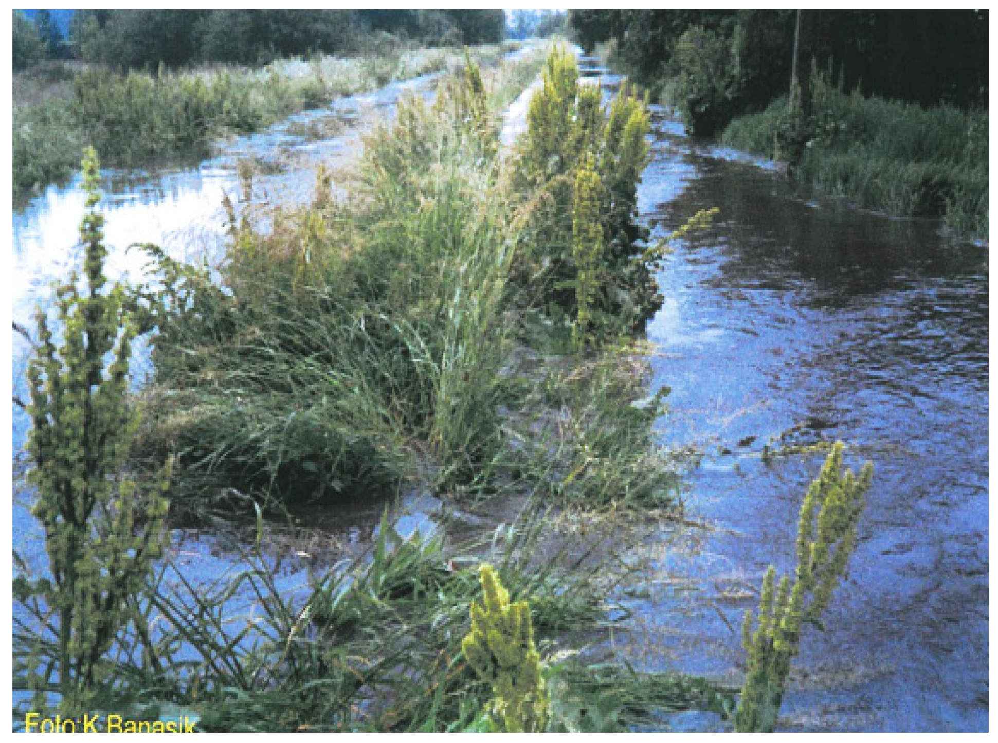 Water 14 02109 g0a5 Water 14 02109 g0a5