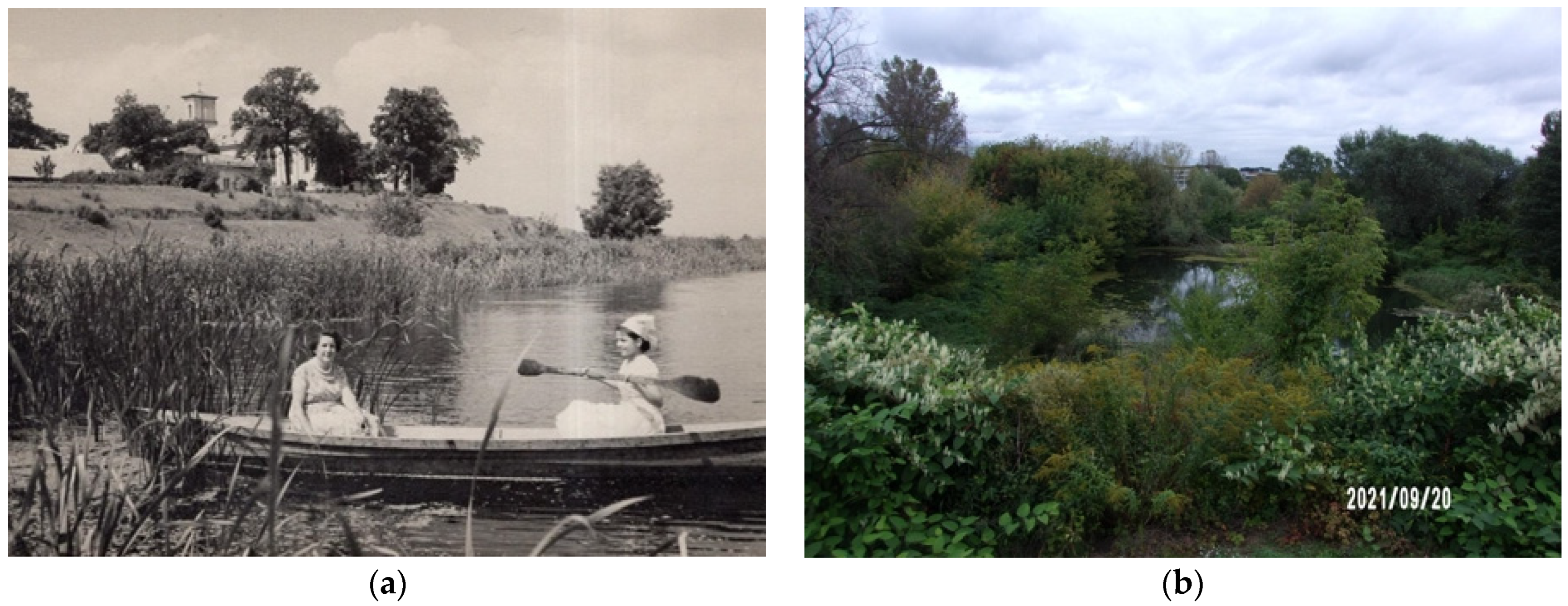 Water 14 02109 g0a9 Water 14 02109 g0a9