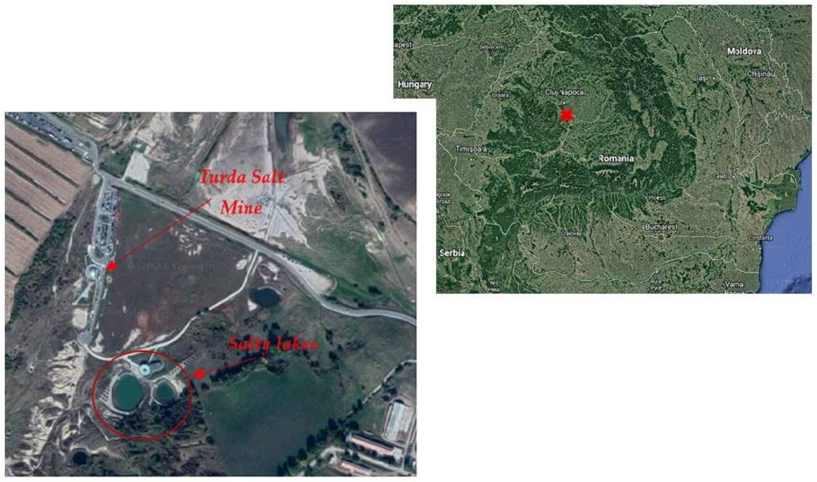 Water | Free Full-Text | Evaluation and Evolution of the Physico-Chemical  Parameters of Ocnei and Rotund Lakes Located near the &ldquo;Salina  Turda&rdquo; Mine, Romania | HTML