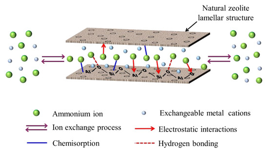 Water | Free Full-Text | Adsorption Mechanism of High-Concentration ...