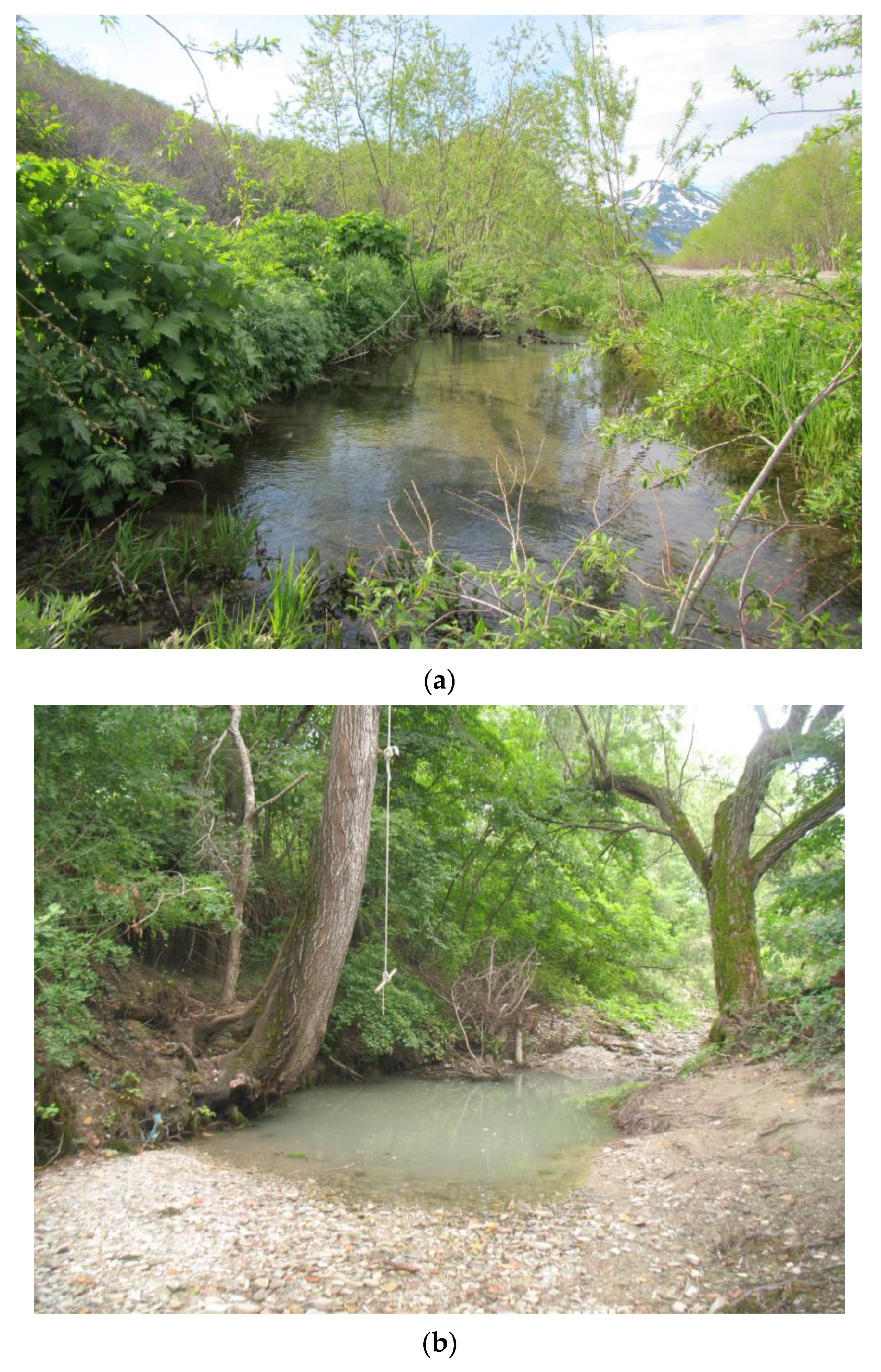 Water 14 02484 g001a Water 14 02484 g001a