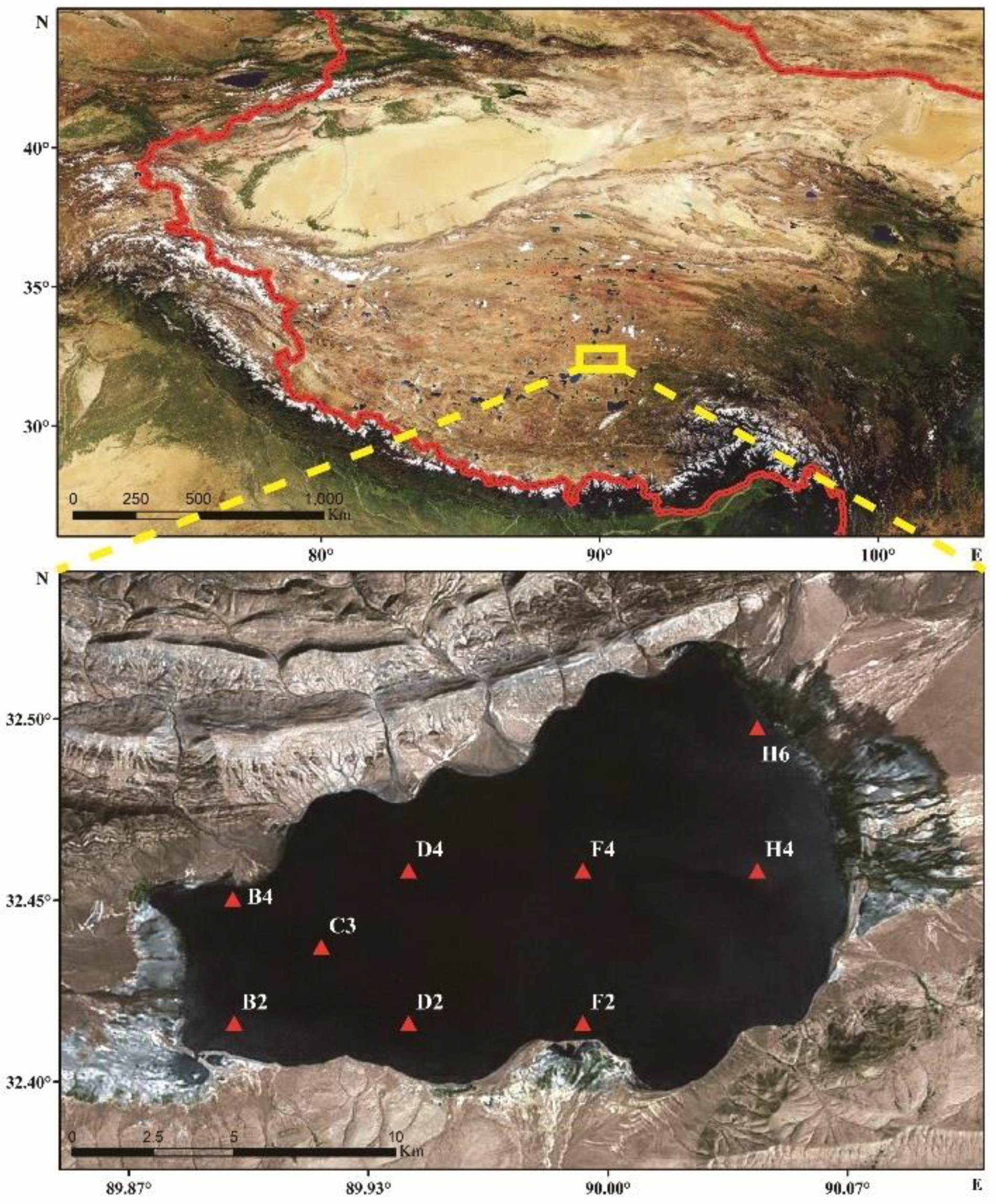 Water | Free Full-Text | Eukaryotic Diversity Based on High-Throughput 18S  rRNA Sequencing and Its Relationship with Environmental Factors in a Salt  Lake in Tibet, China
