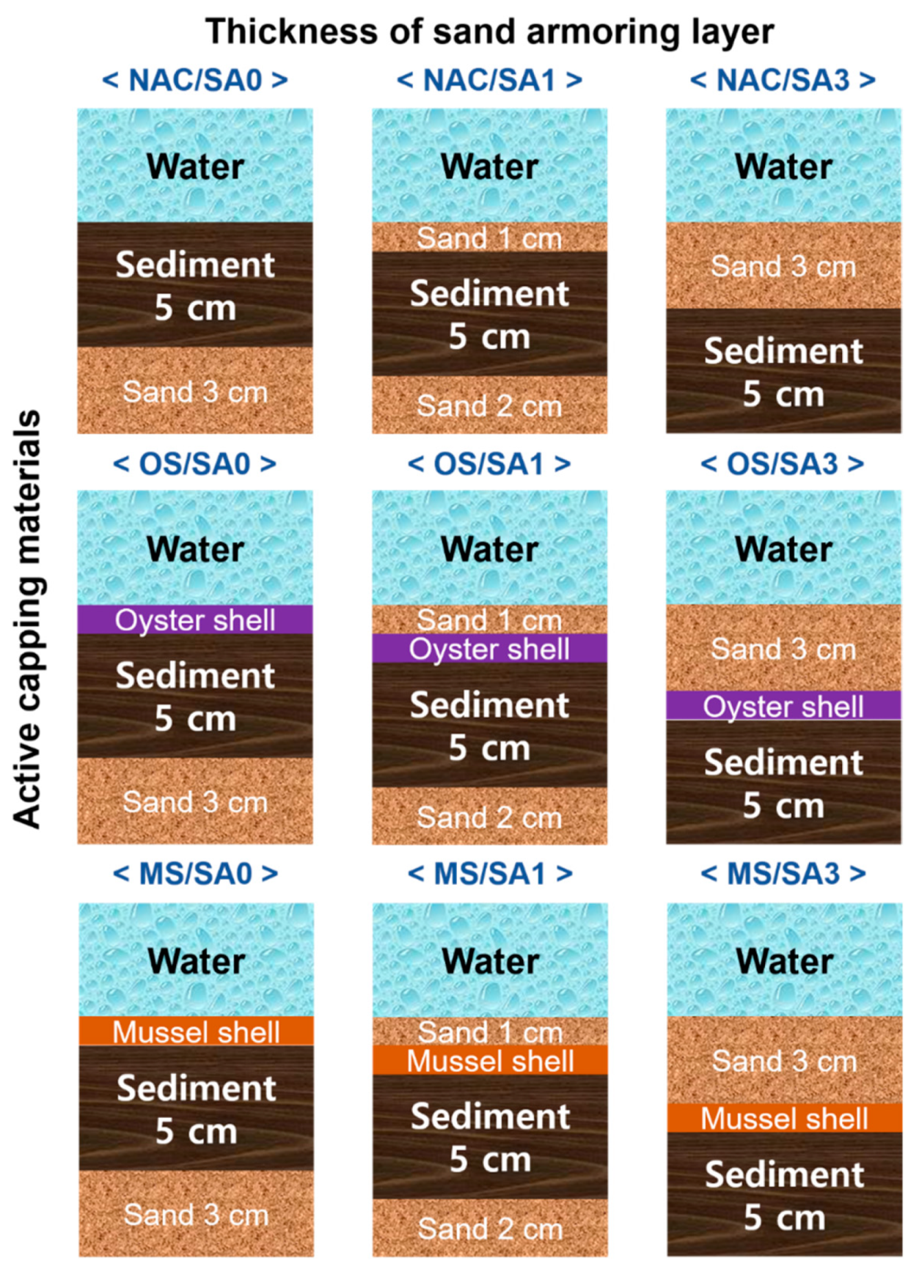 Water | Free Full-Text | Application of Activated Seashells and Sand Armor  for Disrupting N and P Release from River Sediments