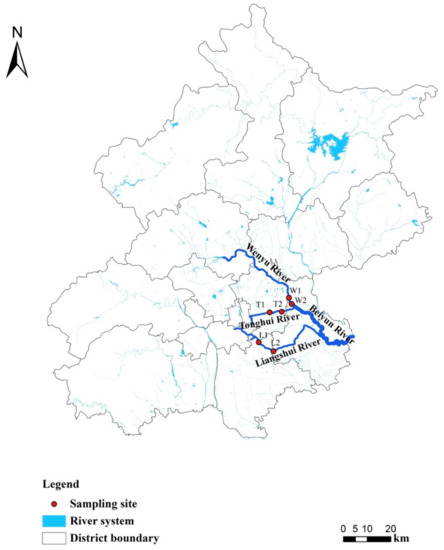 Water | Free Full-Text | Nutrient Dynamics and Ecosystem 