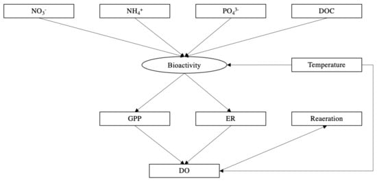 Water | Free Full-Text | Nutrient Dynamics and Ecosystem Metabolism of  Megacity Rivers: Influence of Elevated Nutrient Concentrations in  Beijing’s Waterways