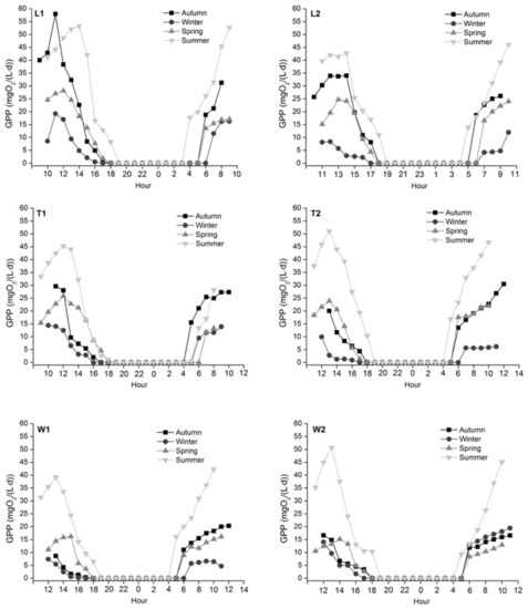 Water | Free Full-Text | Nutrient Dynamics and Ecosystem 