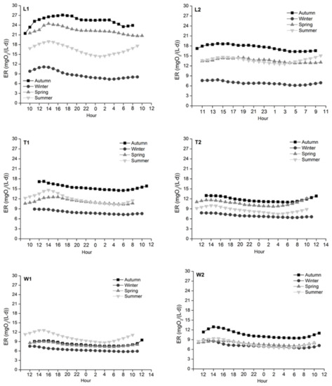 Water | Free Full-Text | Nutrient Dynamics and Ecosystem 