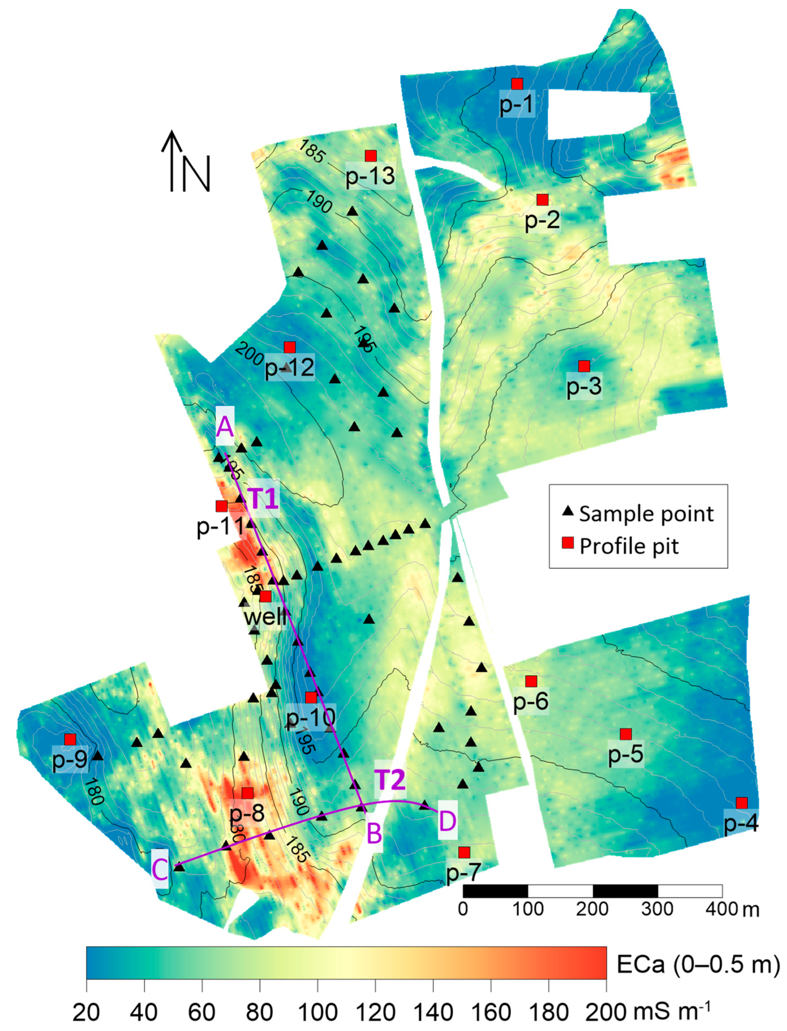 Water | Free Full-Text | Soil Salinity Patterns in an Olive