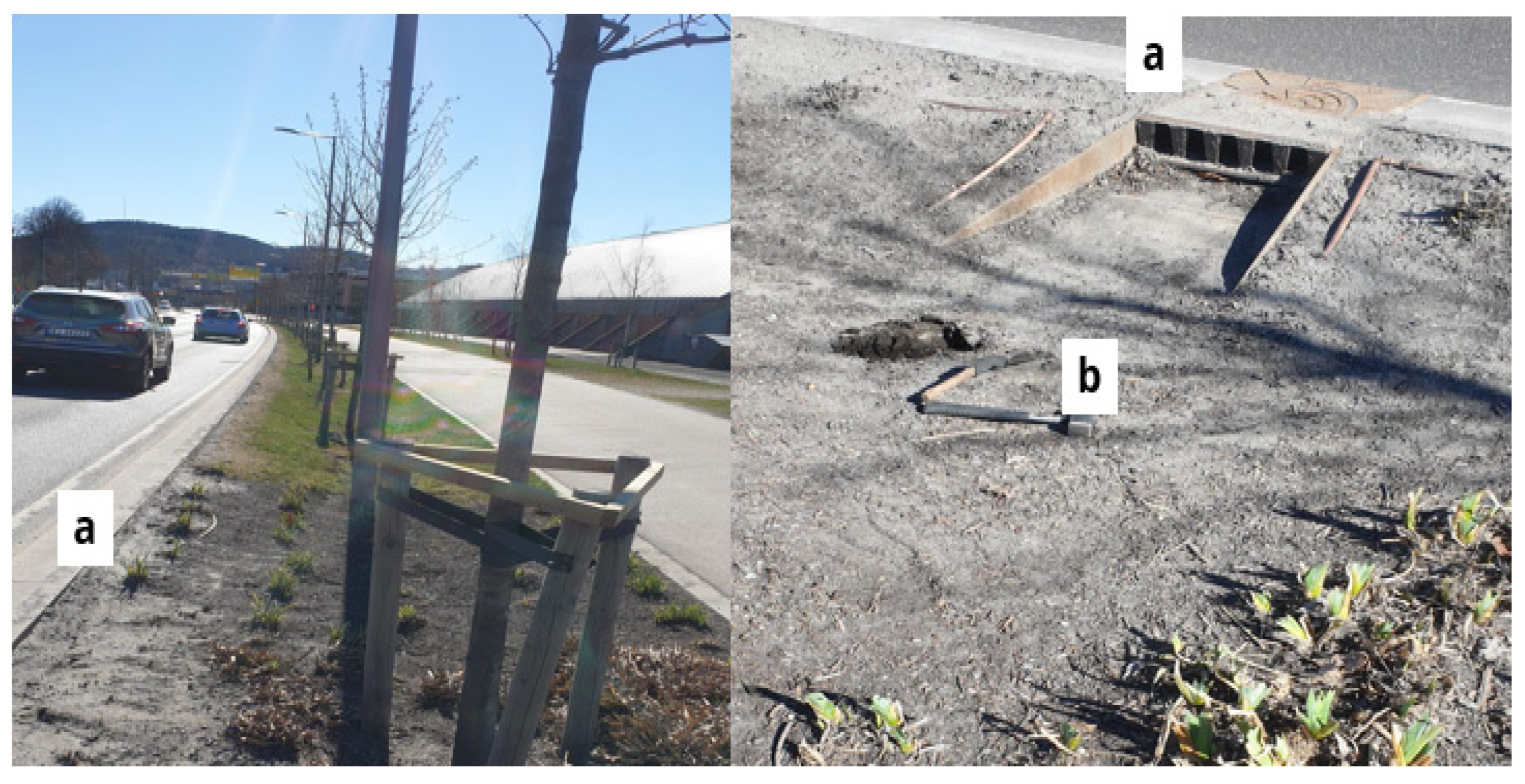 Roadside Management Toolbox: Asphalt Concrete