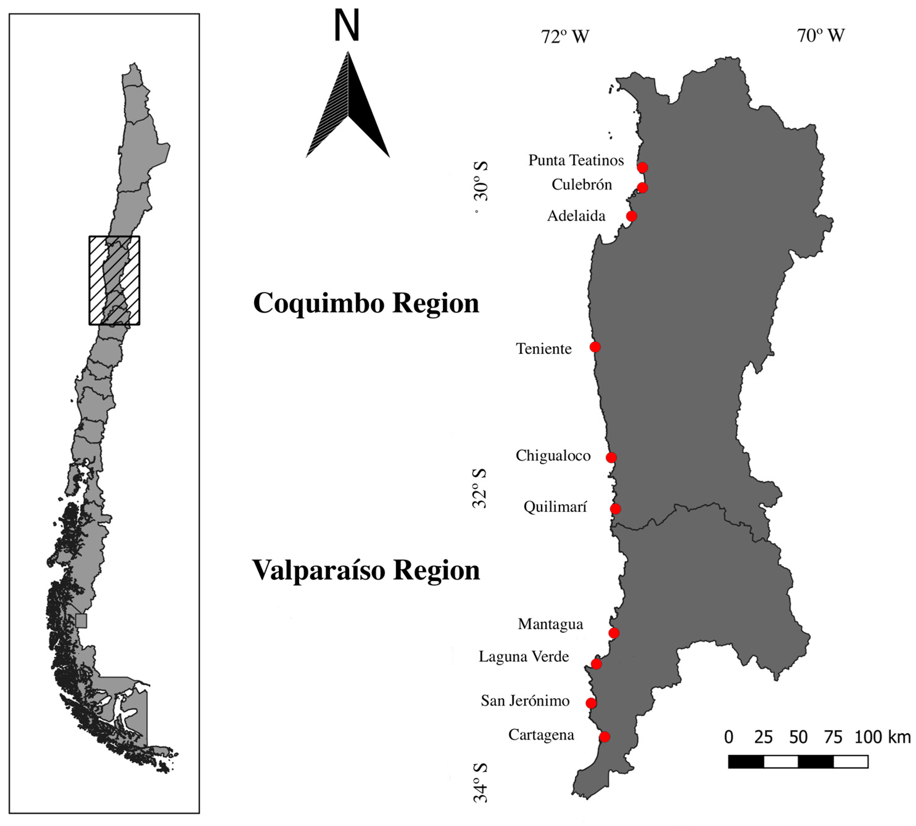 Water | Free Full-Text | Macroinvertebrate-Based Biomonitoring of Coastal  Wetlands in Mediterranean Chile: Testing Potential Metrics Able to Detect  Anthropogenic Impacts