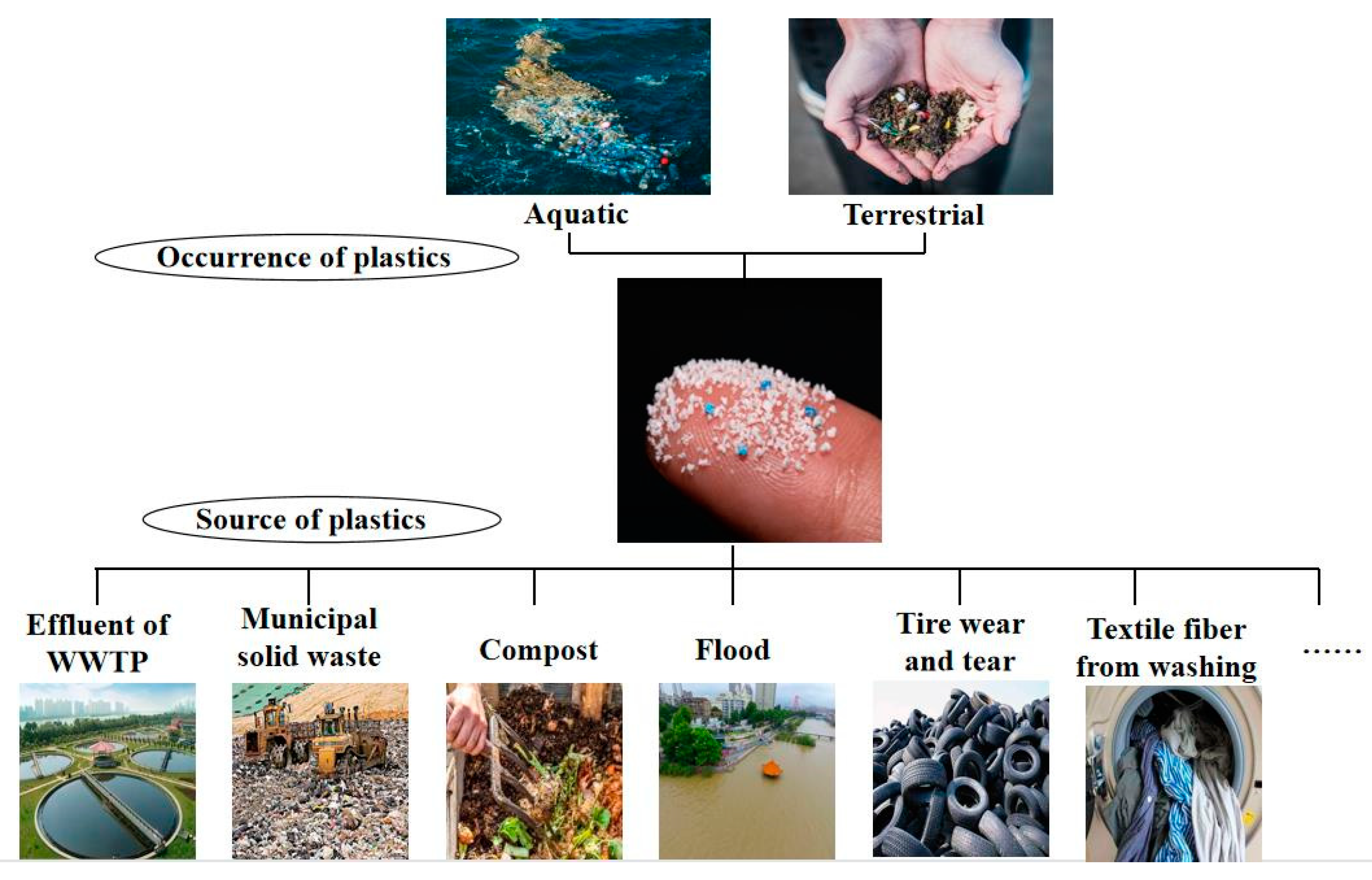 Water | Free Full-Text | Aging Process of Microplastics in the Aquatic  Environments: Aging Pathway, Characteristic Change, Compound Effect, and  Environmentally Persistent Free Radicals Formation