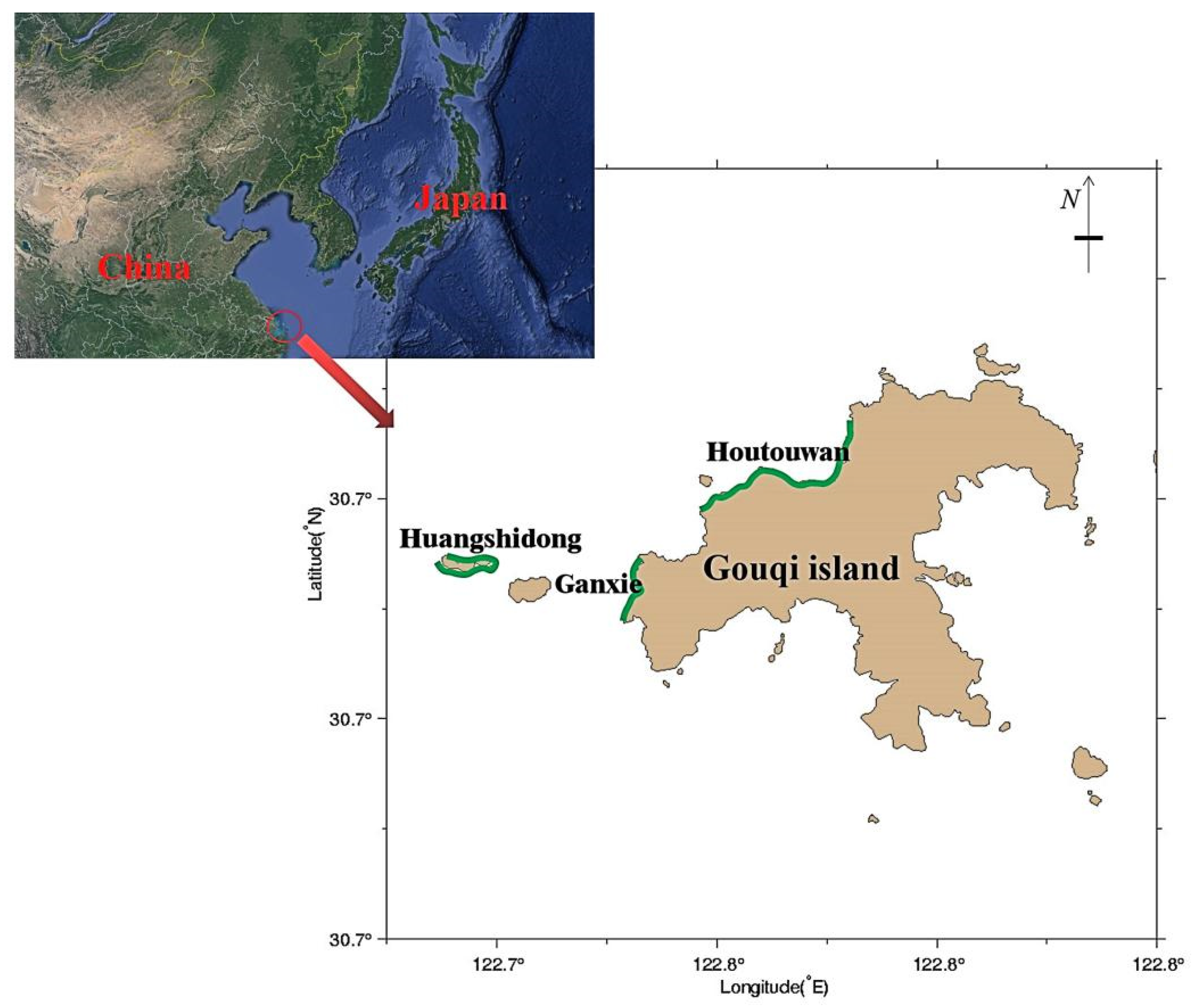 Water | Free Full-Text | Differences in Light Attenuation Patterns of  Sargassum horneri Beds and Their Influences on Sebastiscus marmoratus  Juveniles: A Case Study of Gouqi Island, Ma&rsquo;an Archipelago, China
