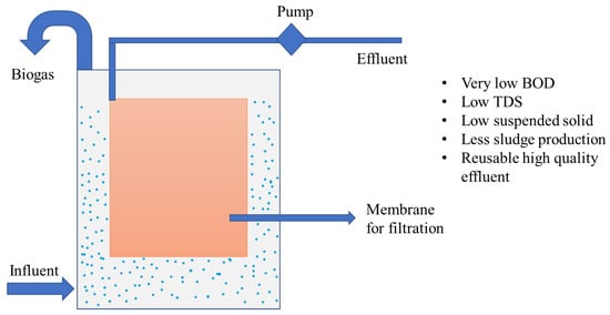 Passive and Low Input Wastewater Systems - On Demand Training