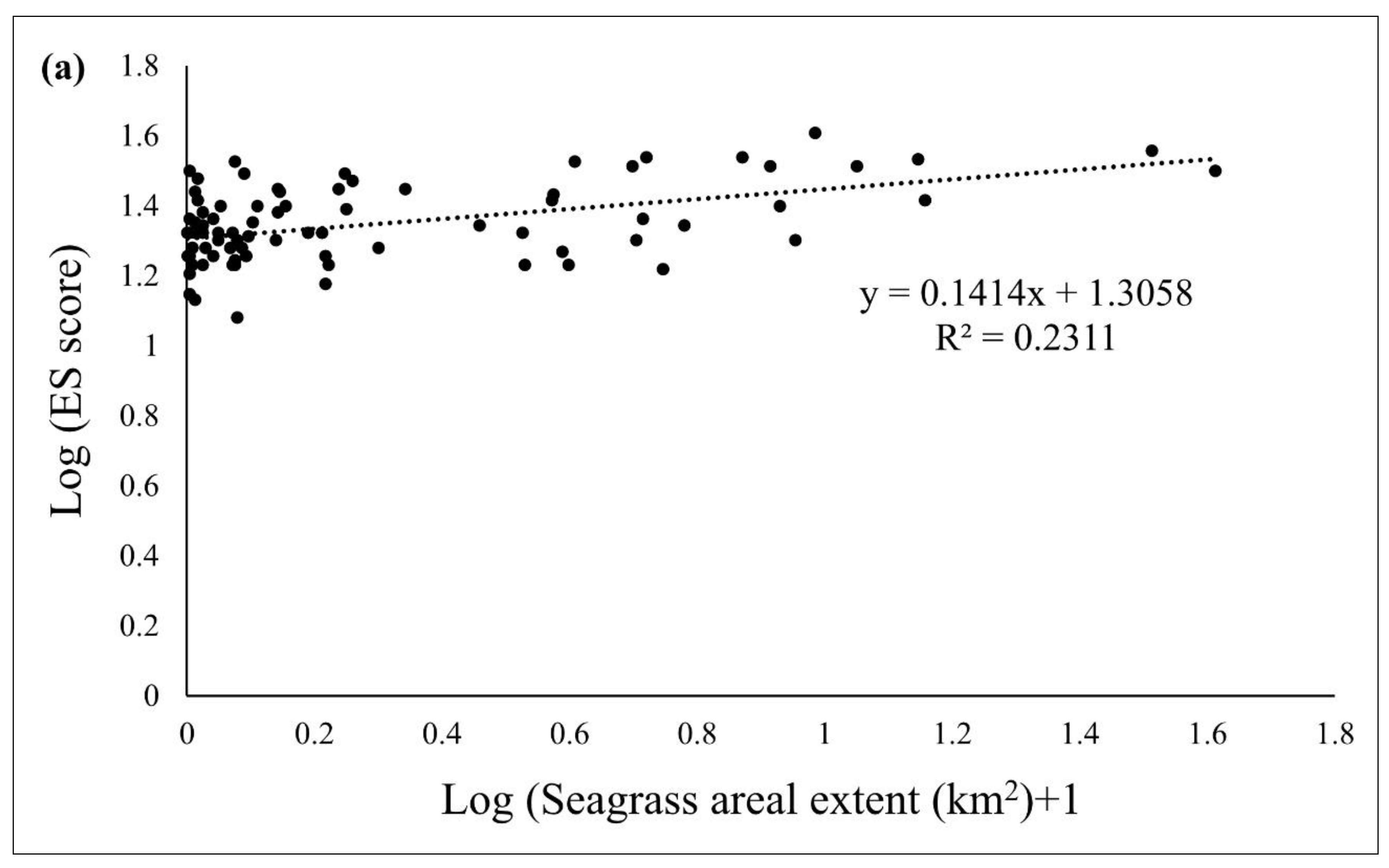 Seagrass and Seagrass Beds