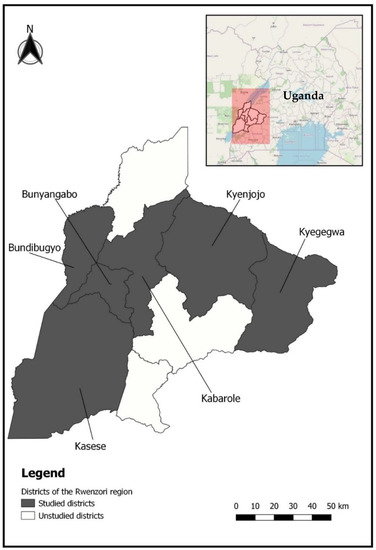 Fishing gear and methods used in Uganda - Wikiwand