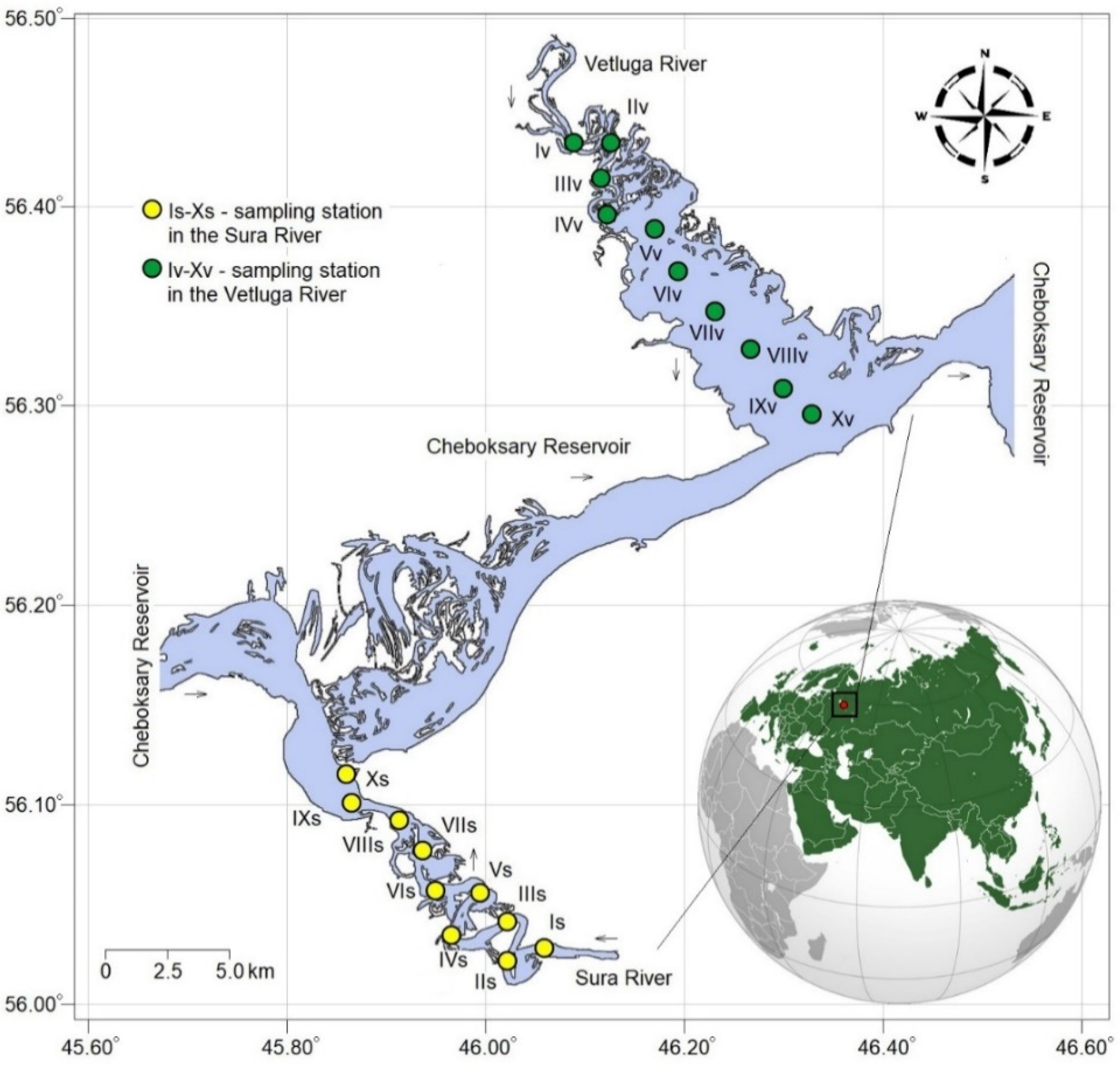 PDF) Seasonal succession of zooplankton taxonomic group