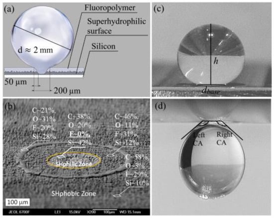 Dynamics of microdroplets over the surface of hot water