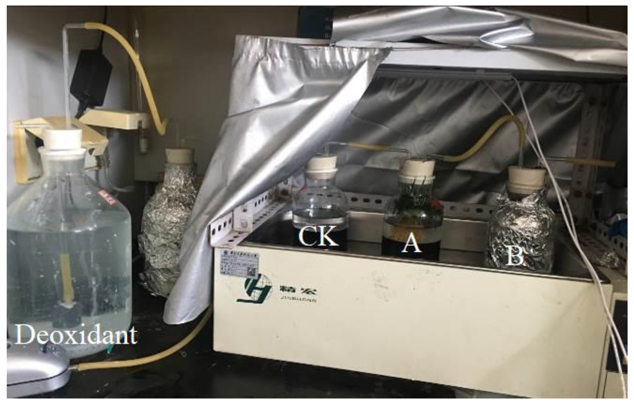 Water 15 00532 g001 Water 15 00532 g001