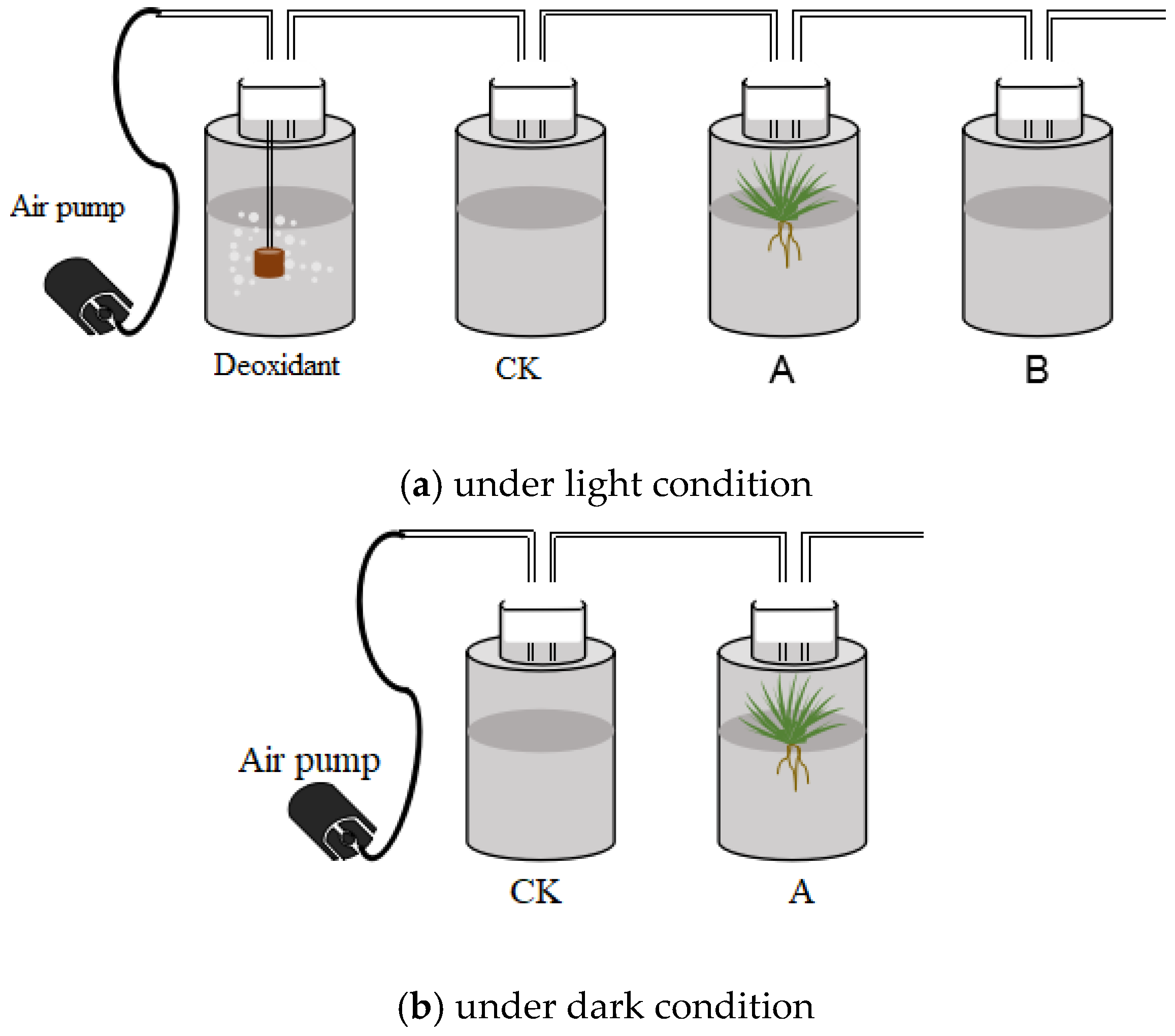 Water 15 00532 g002 Water 15 00532 g002