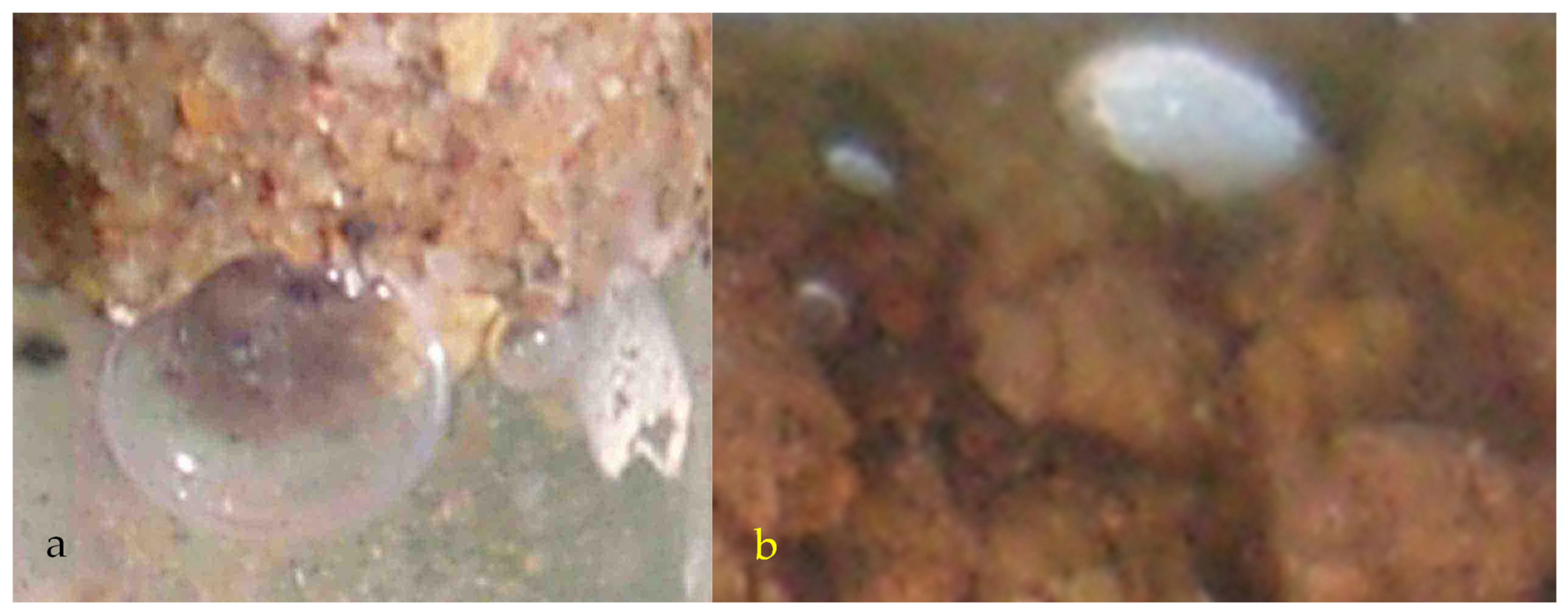 Water 15 00540 g0a16