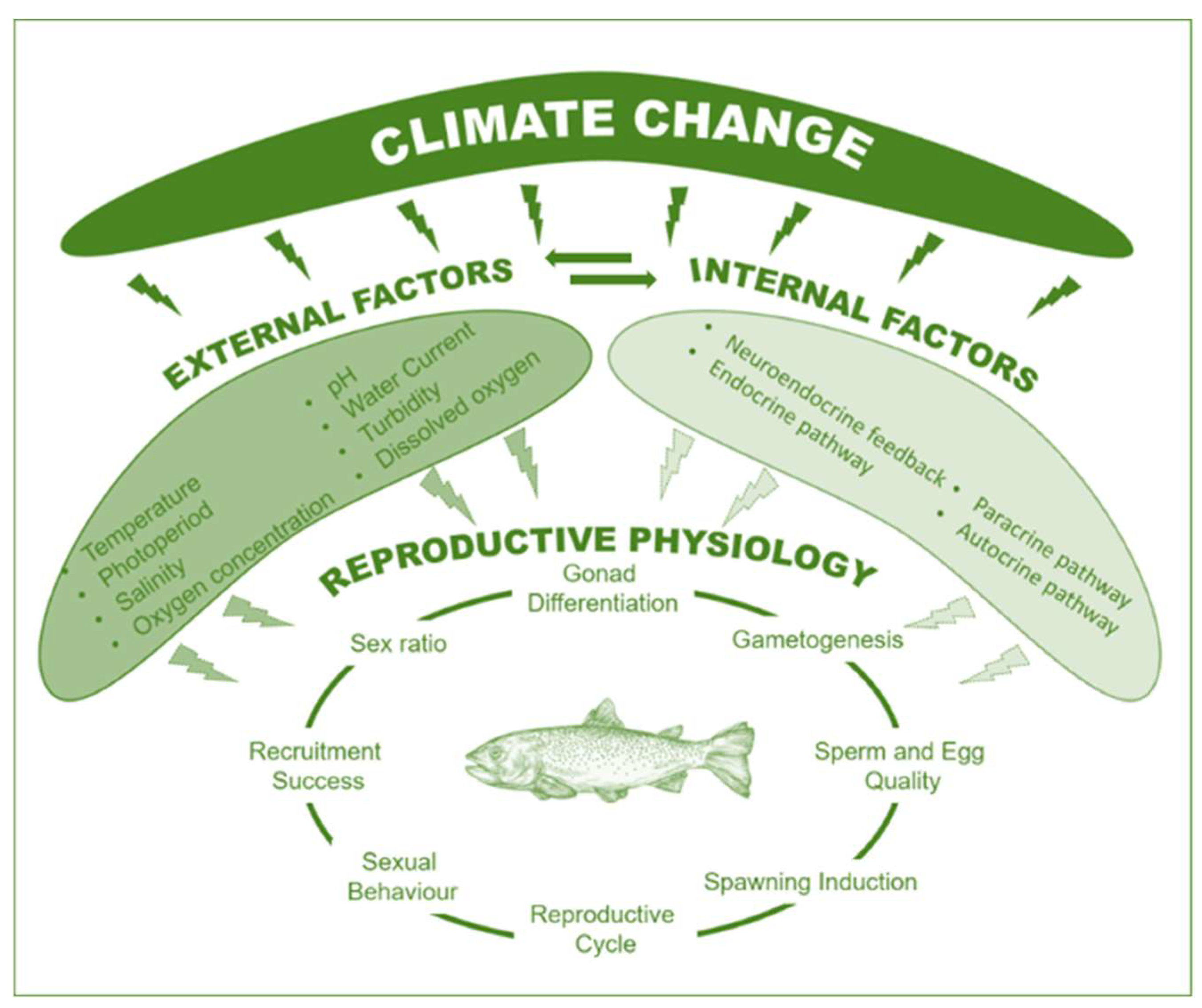 Water | Free Full-Text | Climate Change and Reproductive