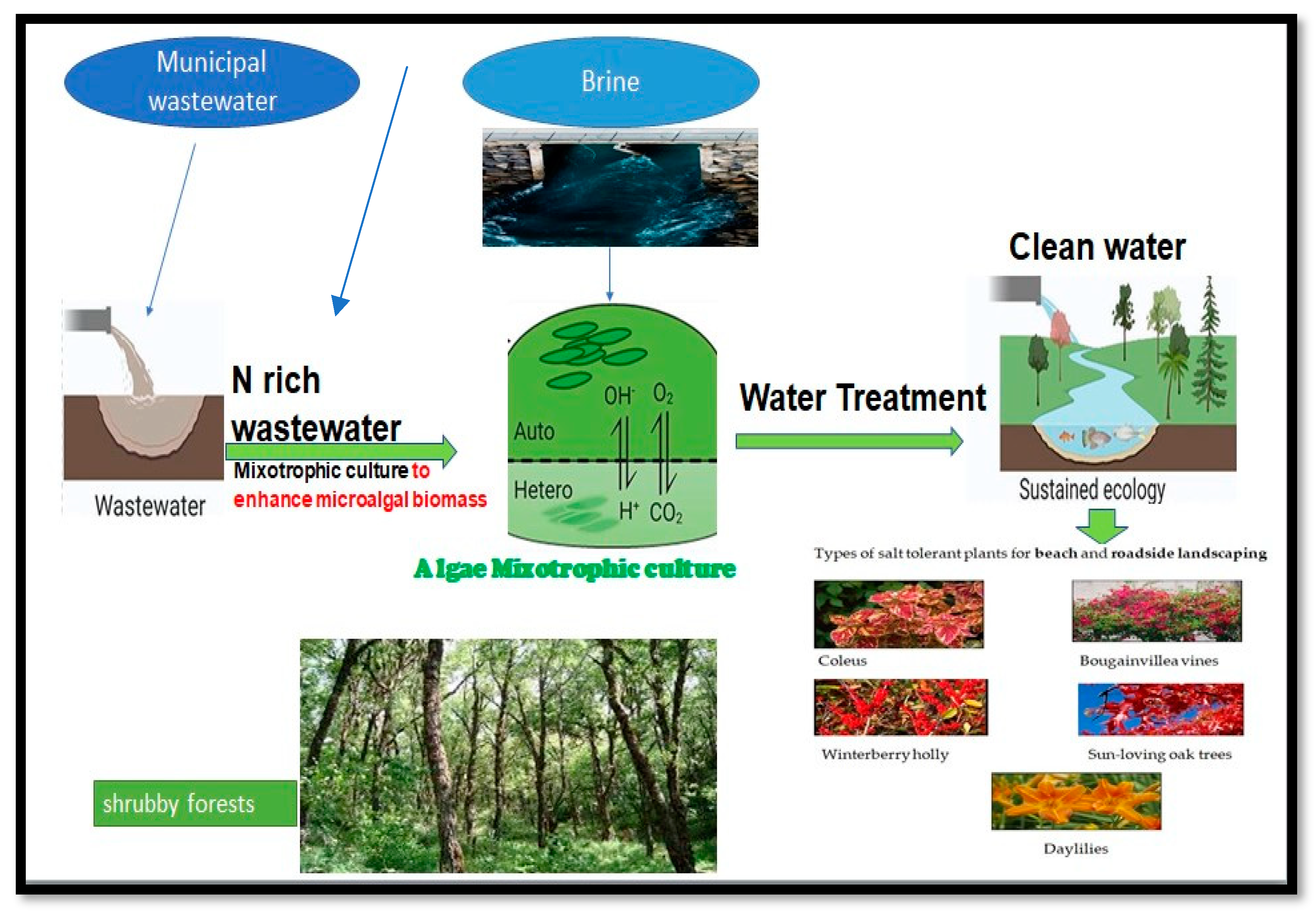 Water 15 00780 g010 Water 15 00780 g010