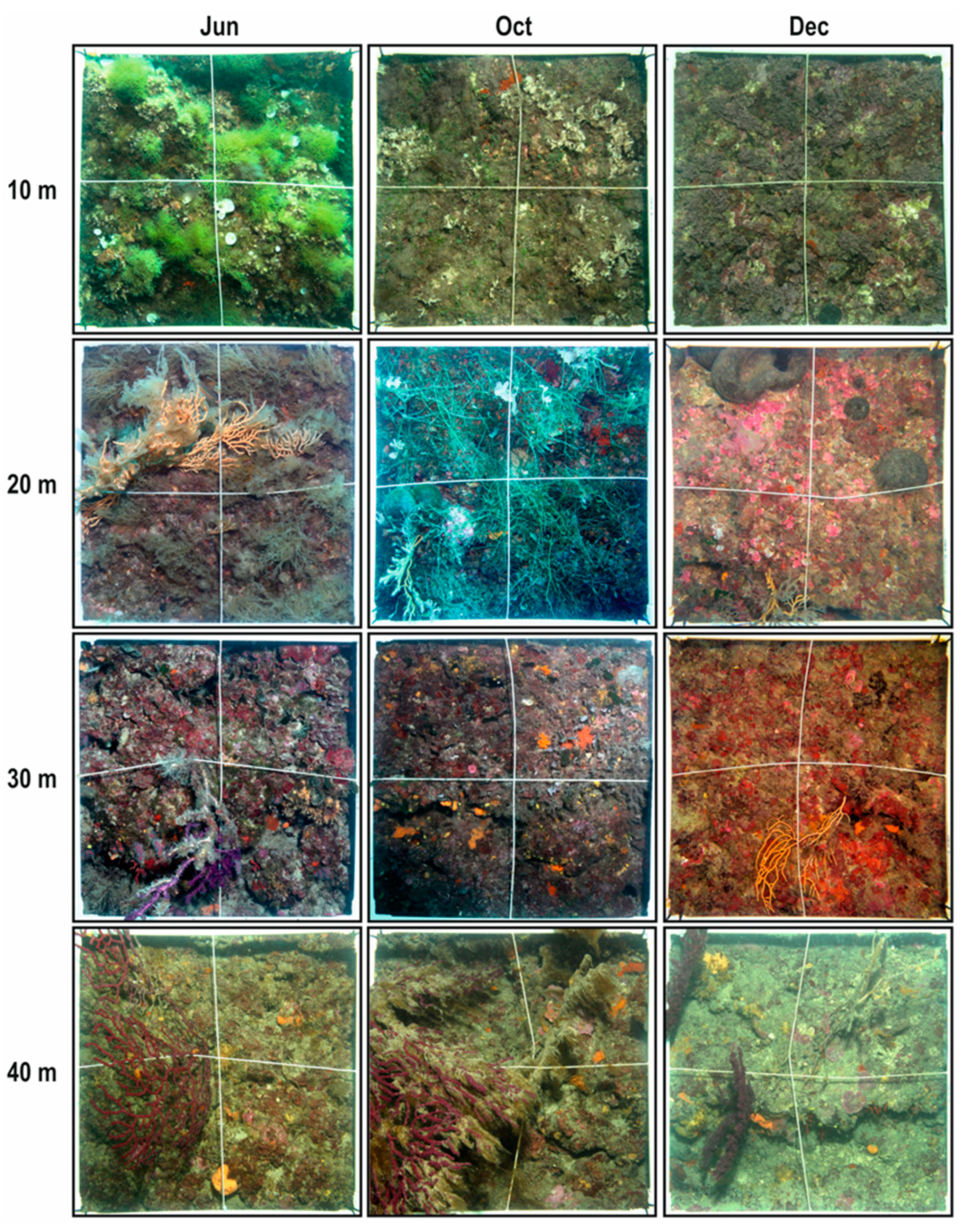 Water 15 00825 g002 Water 15 00825 g002