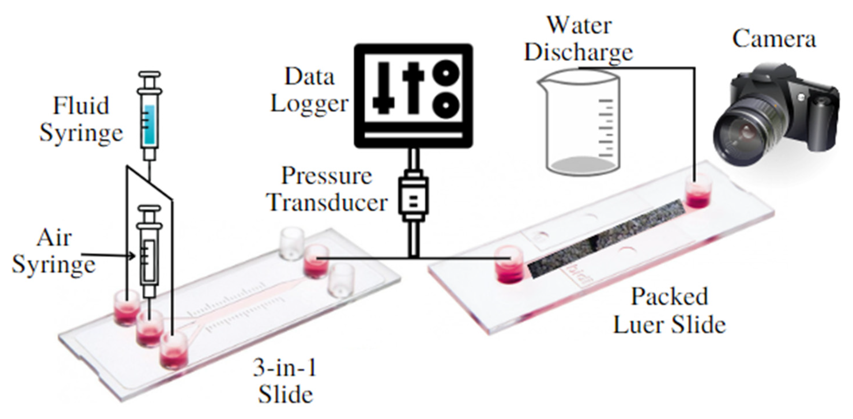 Water | Free Full-Text | Characterization of Bubble Transport in Porous  Media Using a Microfluidic Channel