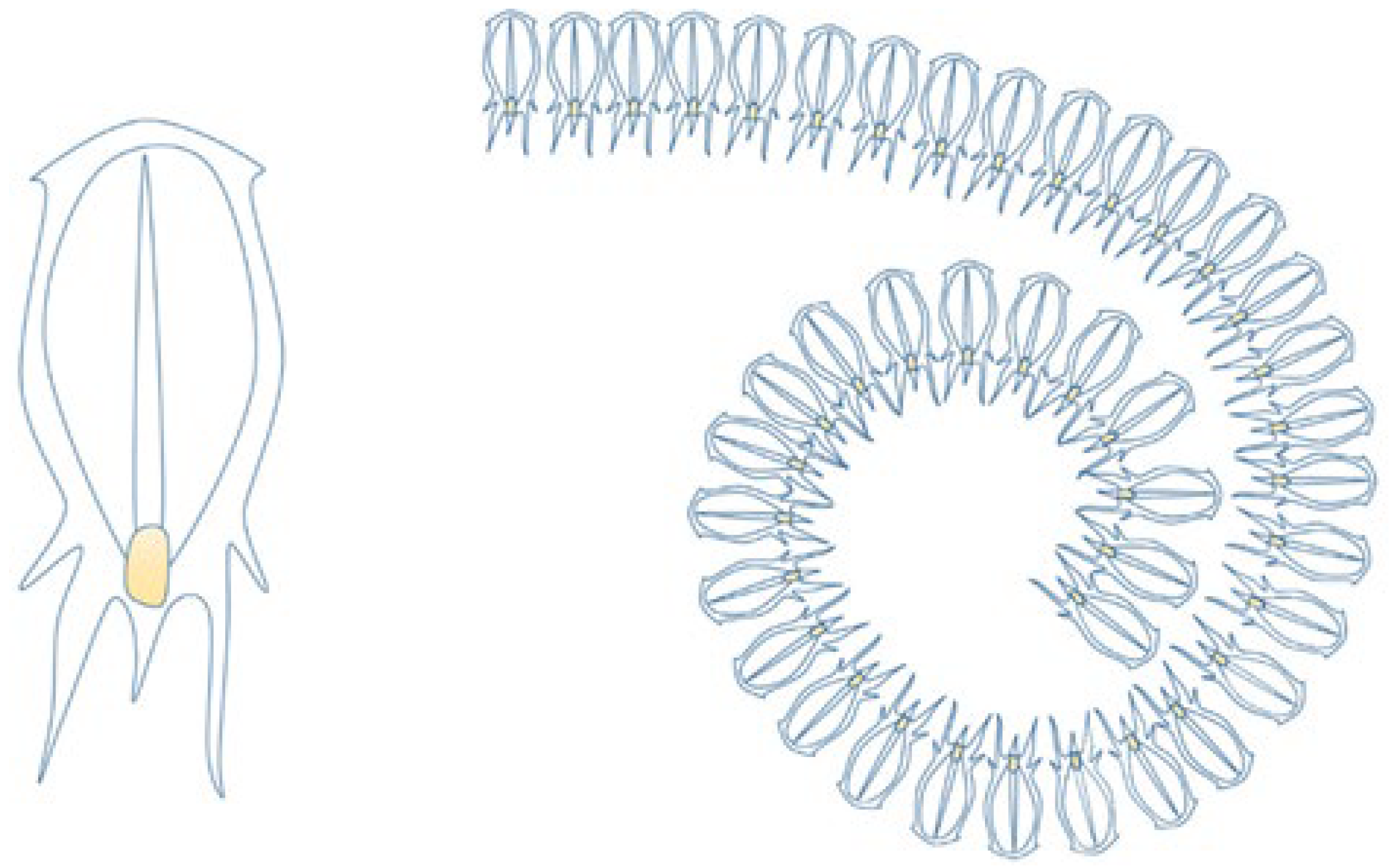 Water 15 01271 g003 Water 15 01271 g003