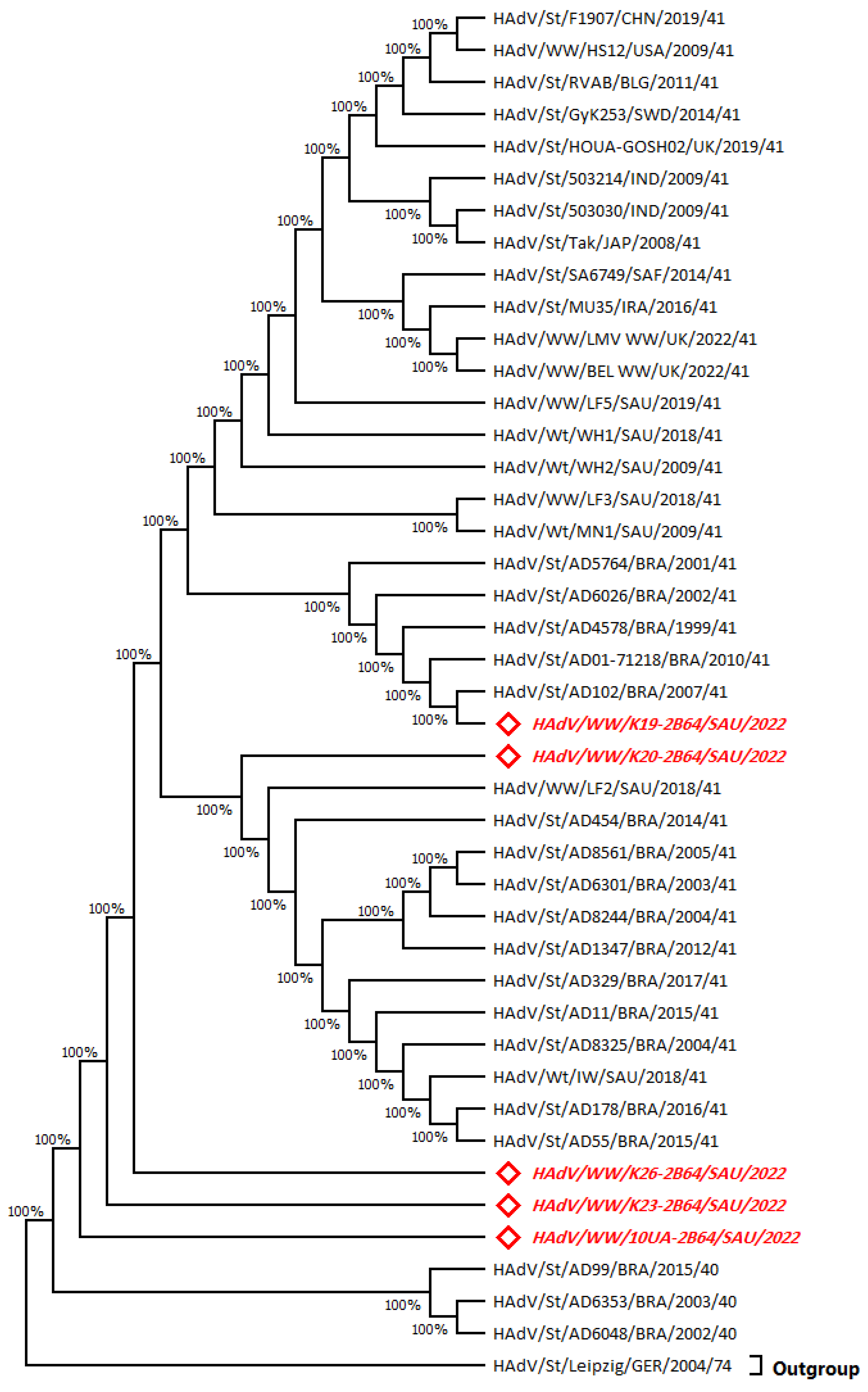 Water | Free Full-Text | Molecular Identification of Human