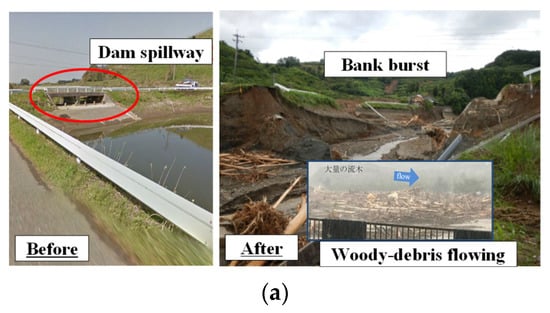 Water | Free Full-Text | Proposed Countermeasures against Woody