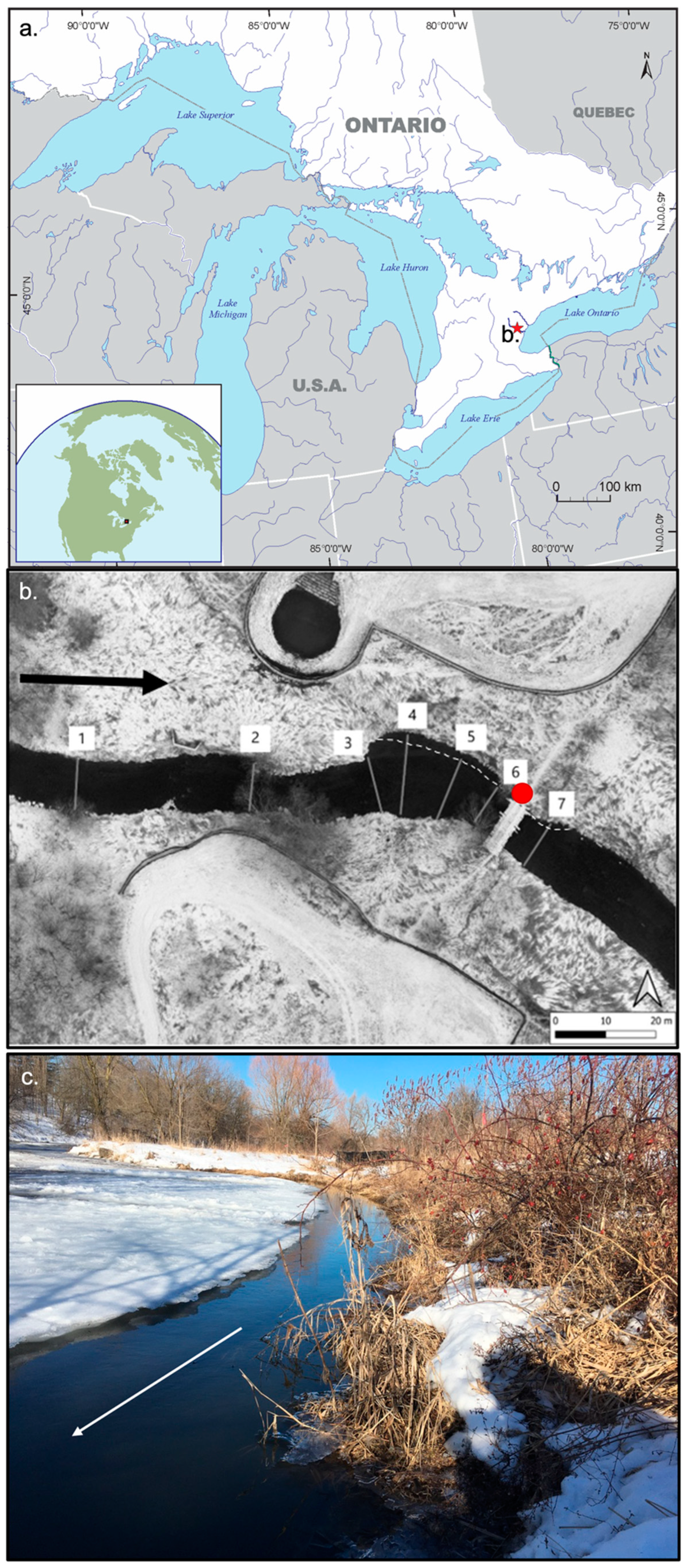 Water | Free Full-Text | Rivers under Ice: Evaluating Simulated