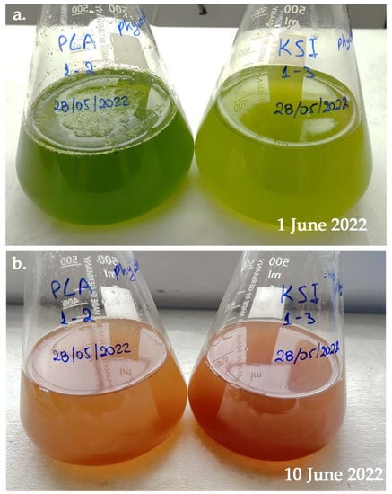 https://www.mdpi.com/water/water-15-01698/article_deploy/html/images/water-15-01698-g006-550.jpg