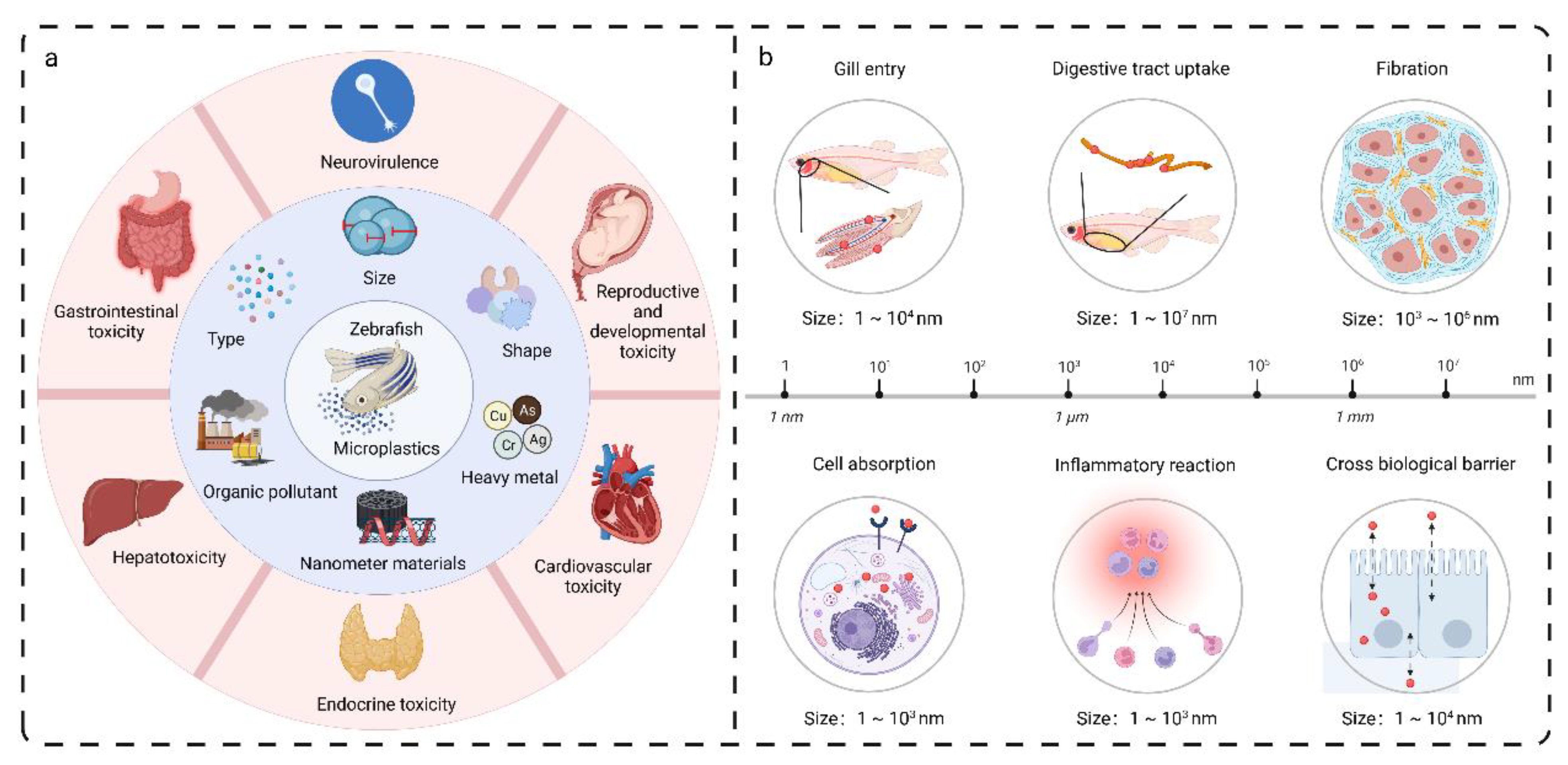 Water 15 01735 g002 Water 15 01735 g002