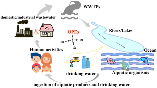 Water | Free Full-Text | A Review of Organophosphate Esters in Aquatic  Environments: Levels, Distribution, and Human Exposure