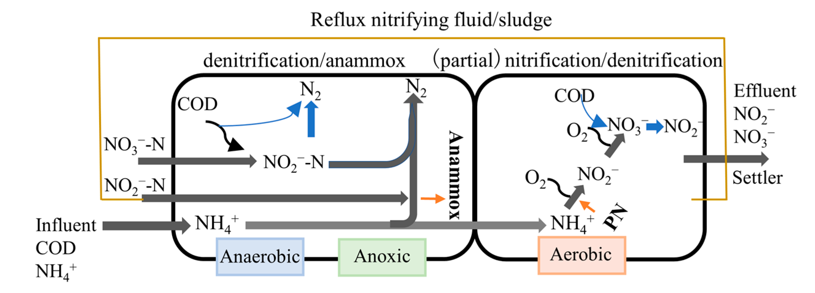 Water | Free Full-Text | Analysis of the Partial Nitrification/Anammox ...