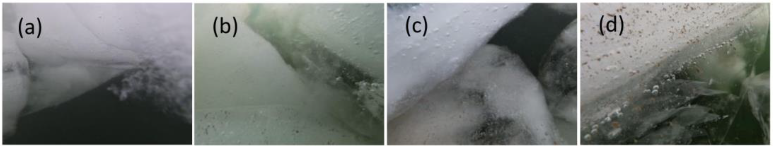 Water 15 02360 g014 Water 15 02360 g014