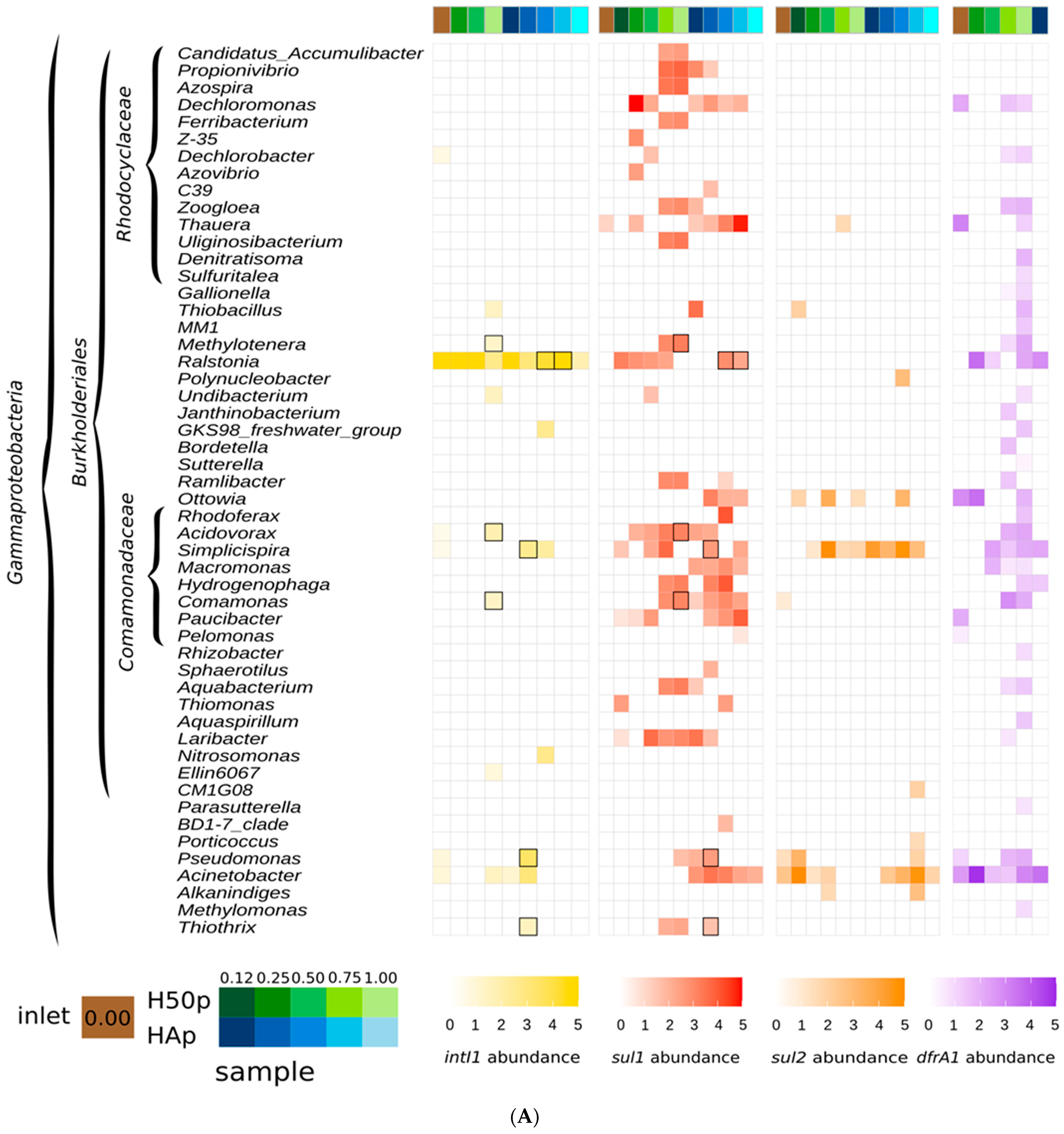Water 15 02432 g001a Water 15 02432 g001a