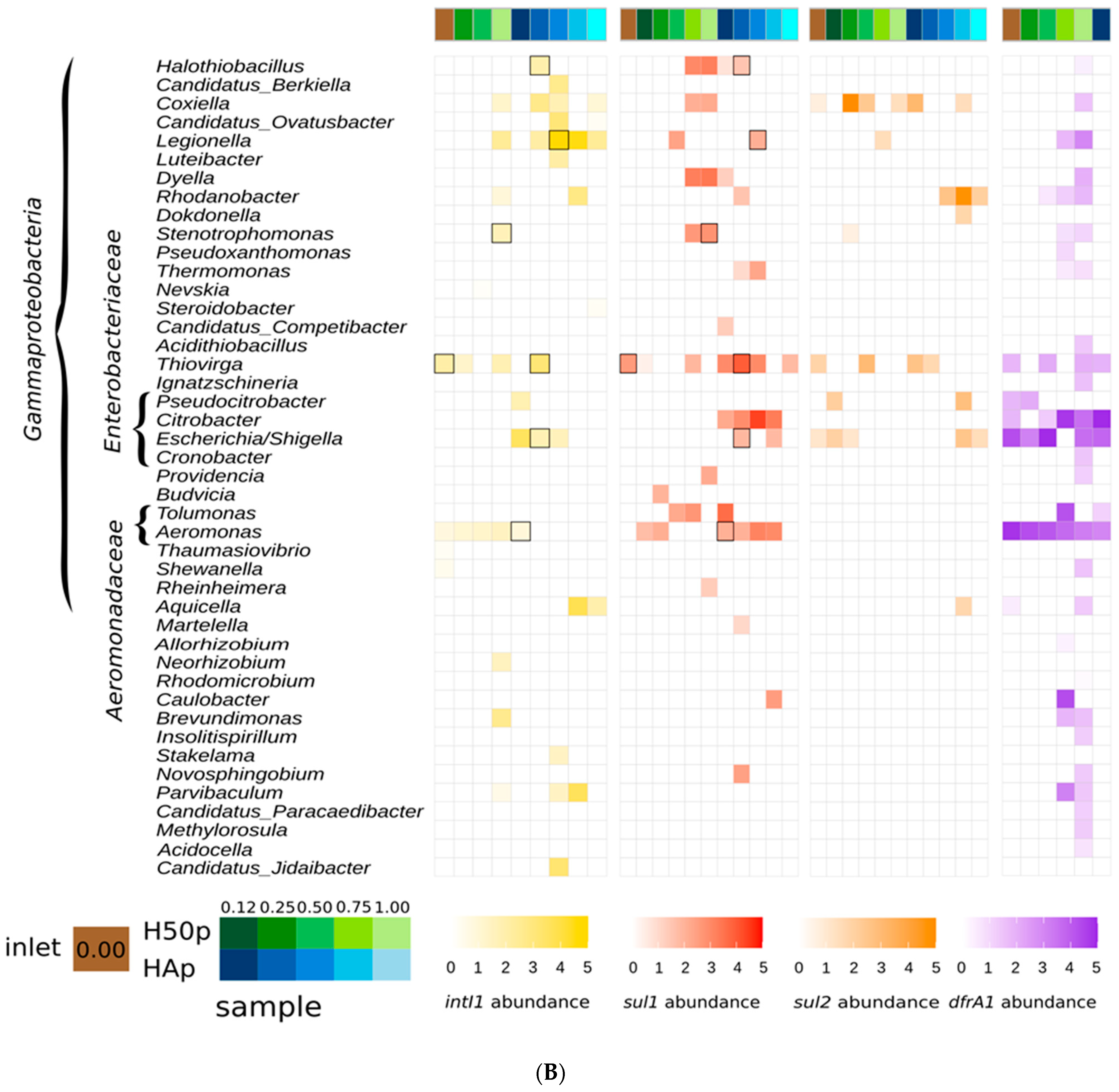 Water 15 02432 g001b Water 15 02432 g001b