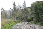 Water 15 02662 i007 Water 15 02662 i007