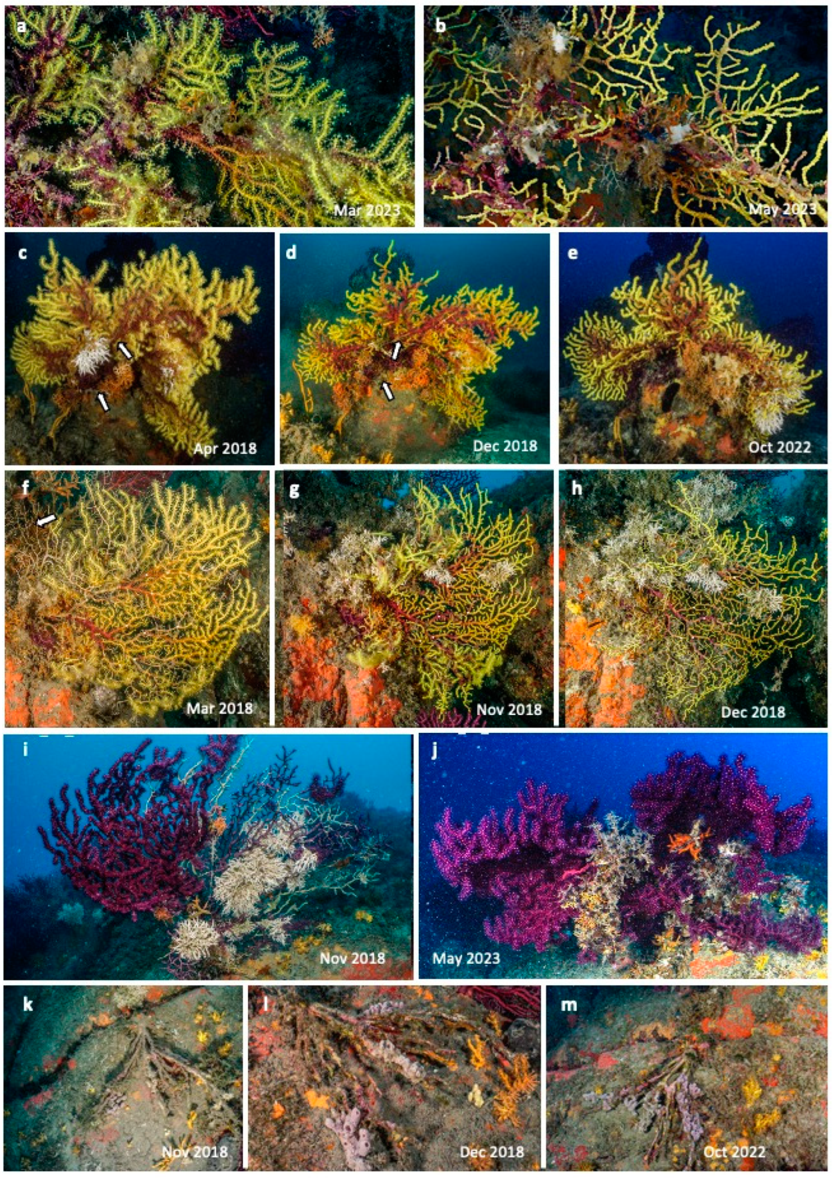 Water 15 02664 g009 Water 15 02664 g009