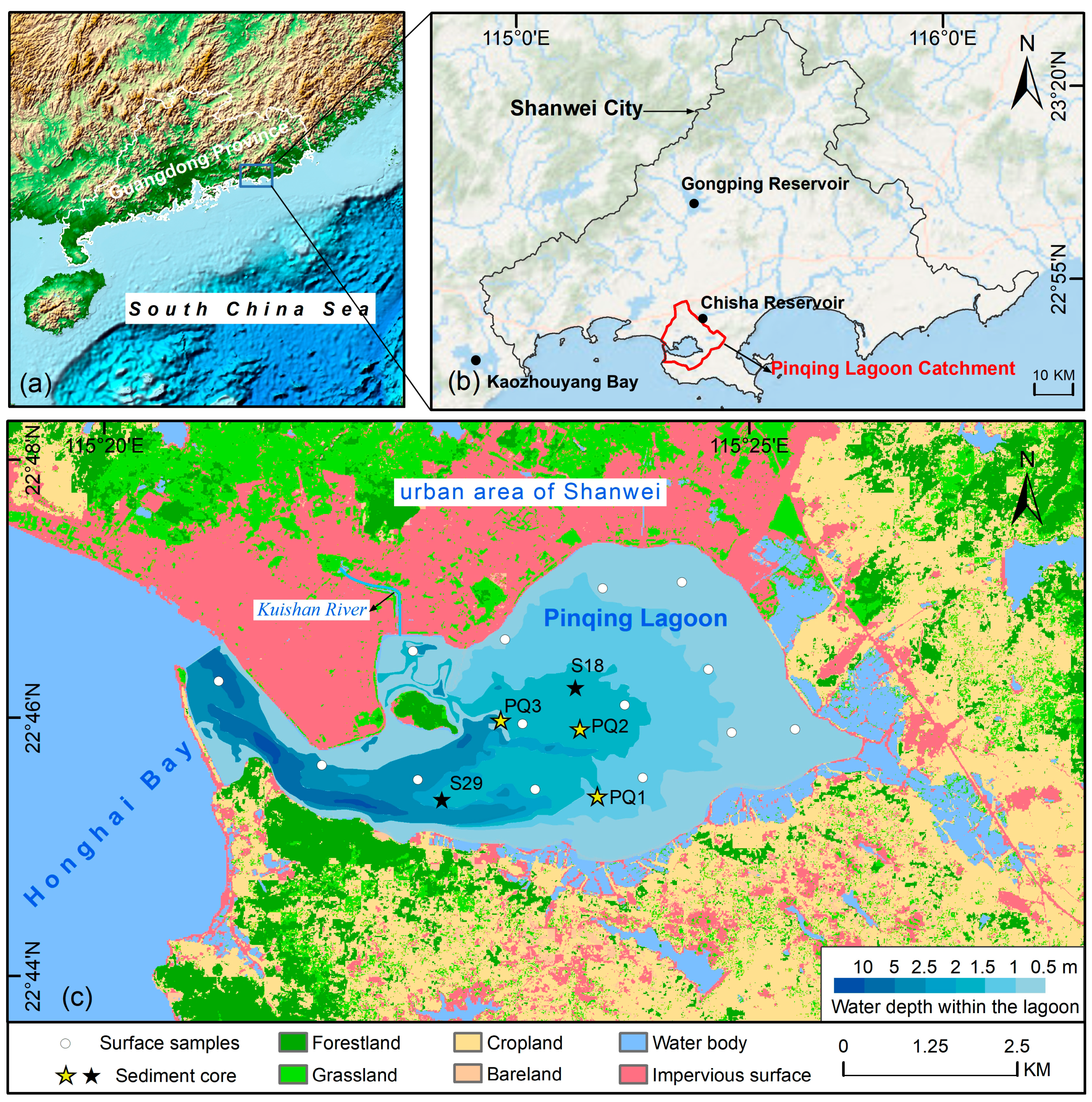 Trophic level and heavy metal pollution of Sardinella albella in Liusha  Bay, Beibu Gulf of the South China Sea - ScienceDirect