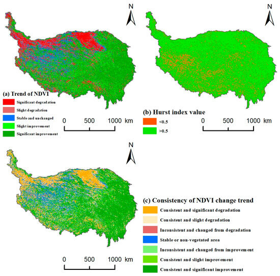 Water | Free Full-Text | Analysis of Vegetation Dynamics and 