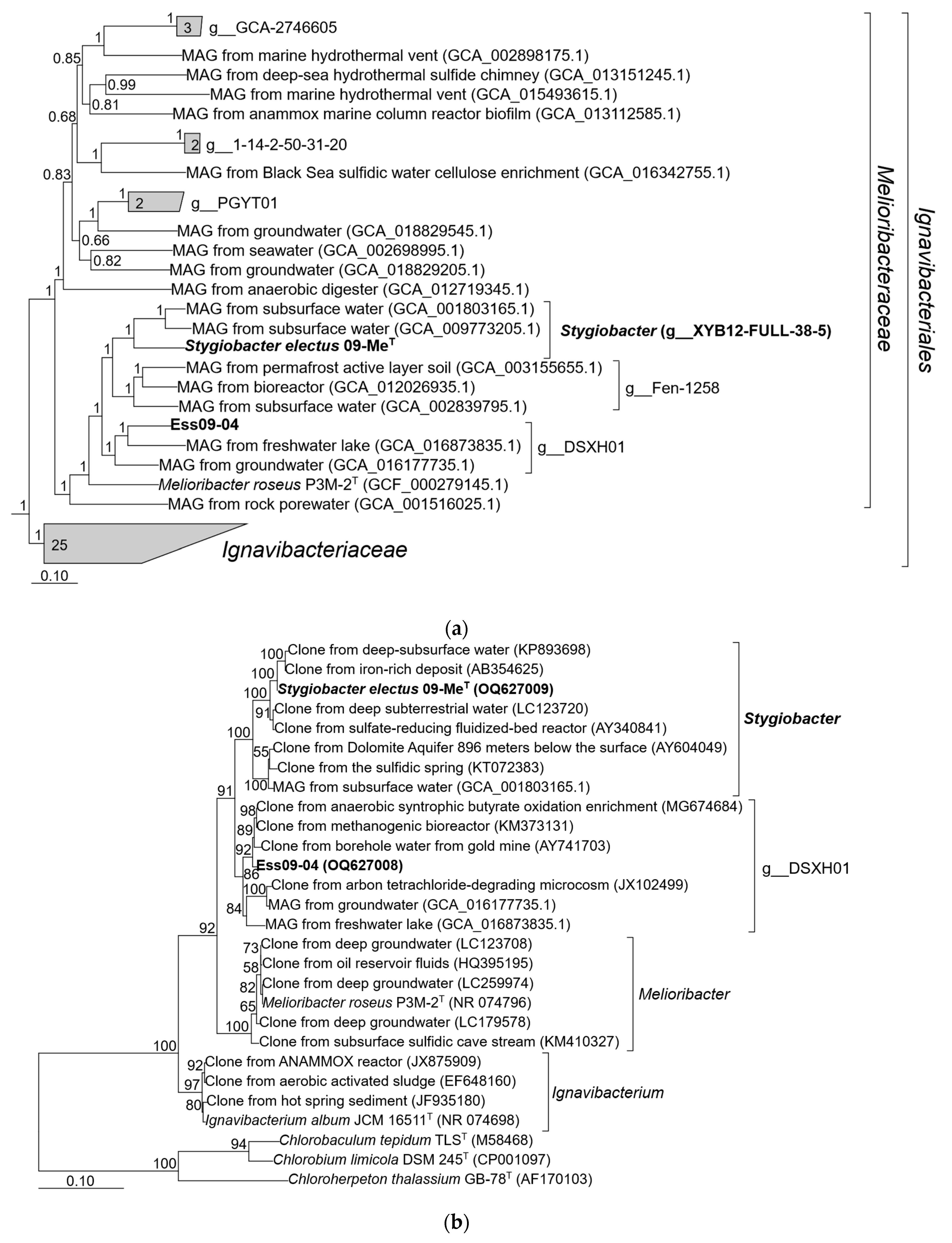 Water 15 03451 g002 Water 15 03451 g002